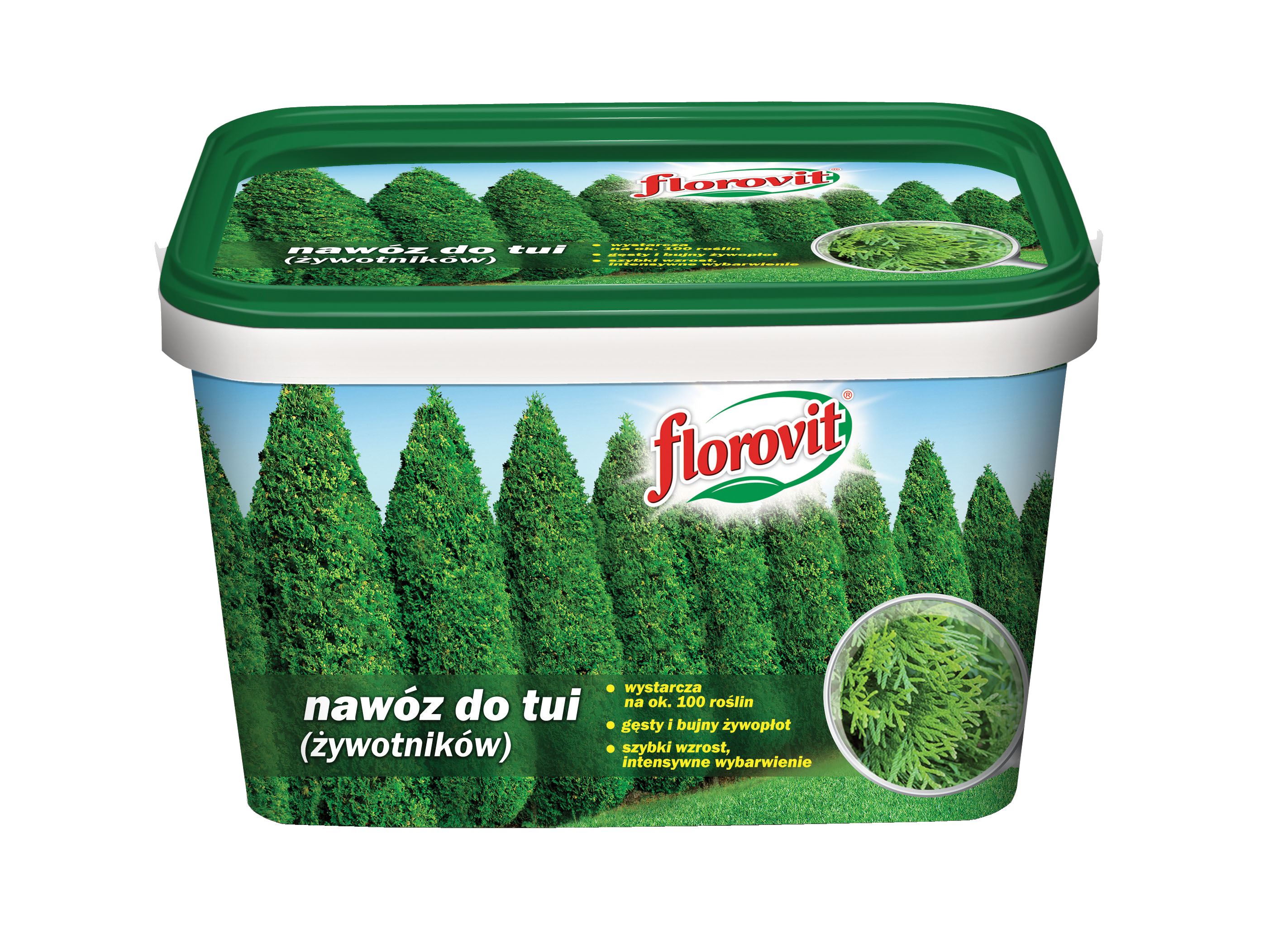 Nawóz do tui 4kg Florovit