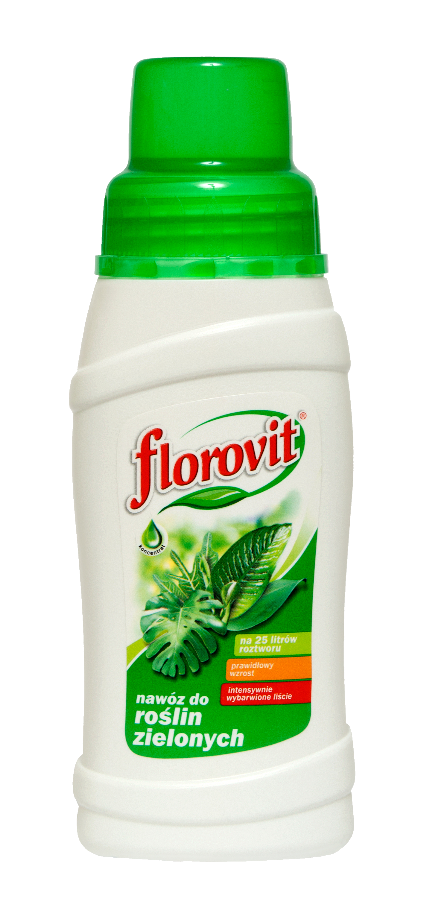 Nawóz do roślin zielonych 250ml Florovit