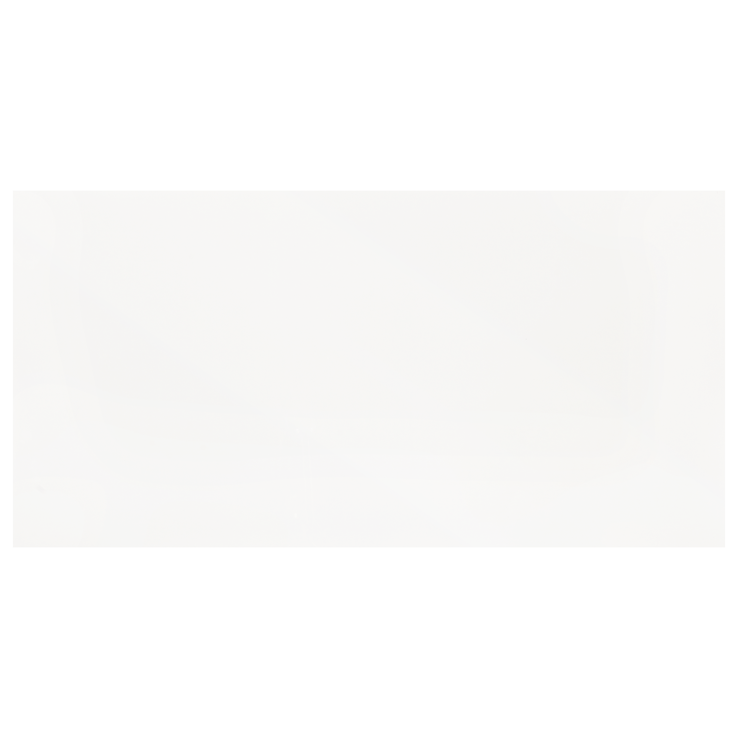Gres szkliwiony Pure White Mat 60x119.5 Marmara