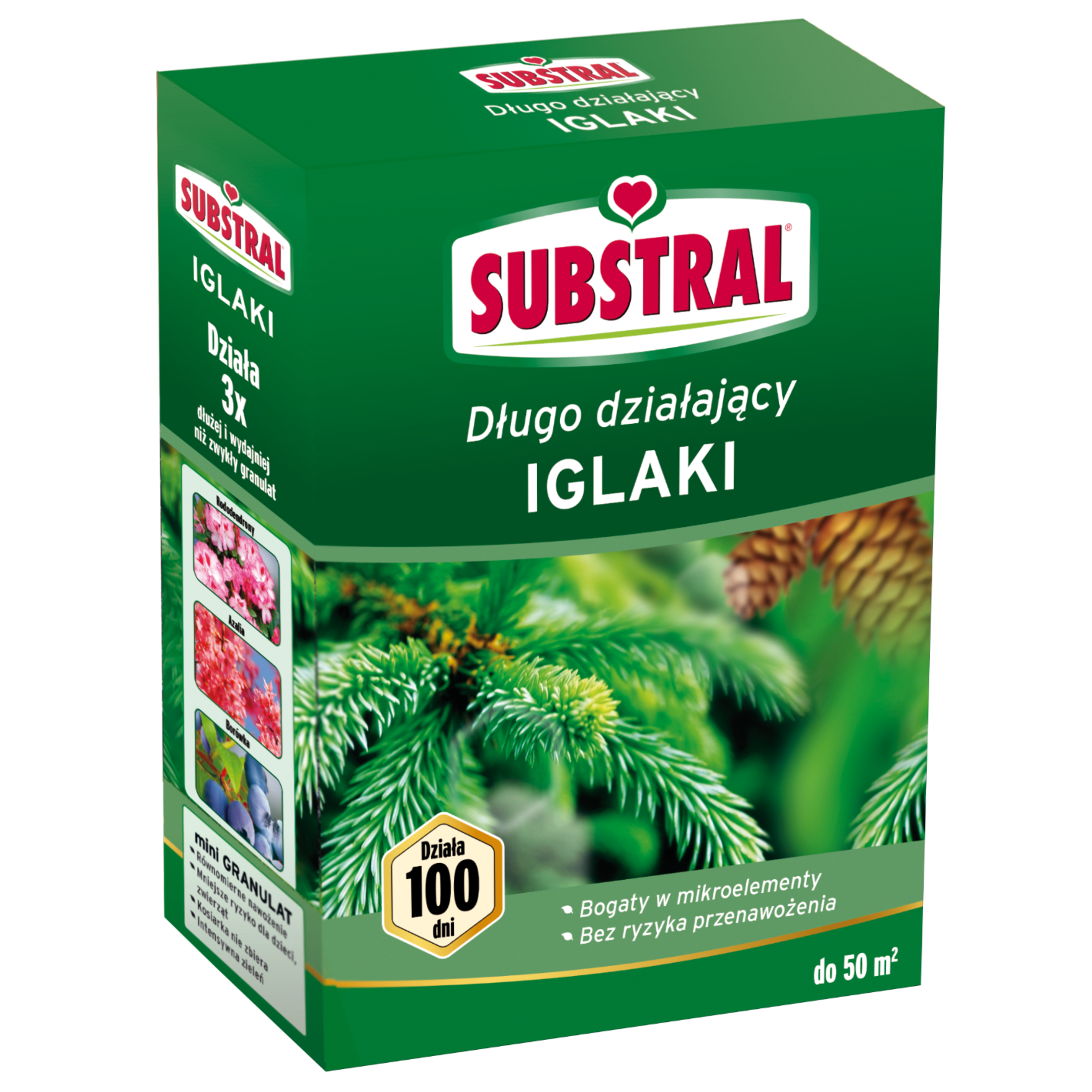 Nawóz do iglaków 100 dni 1kg Substral