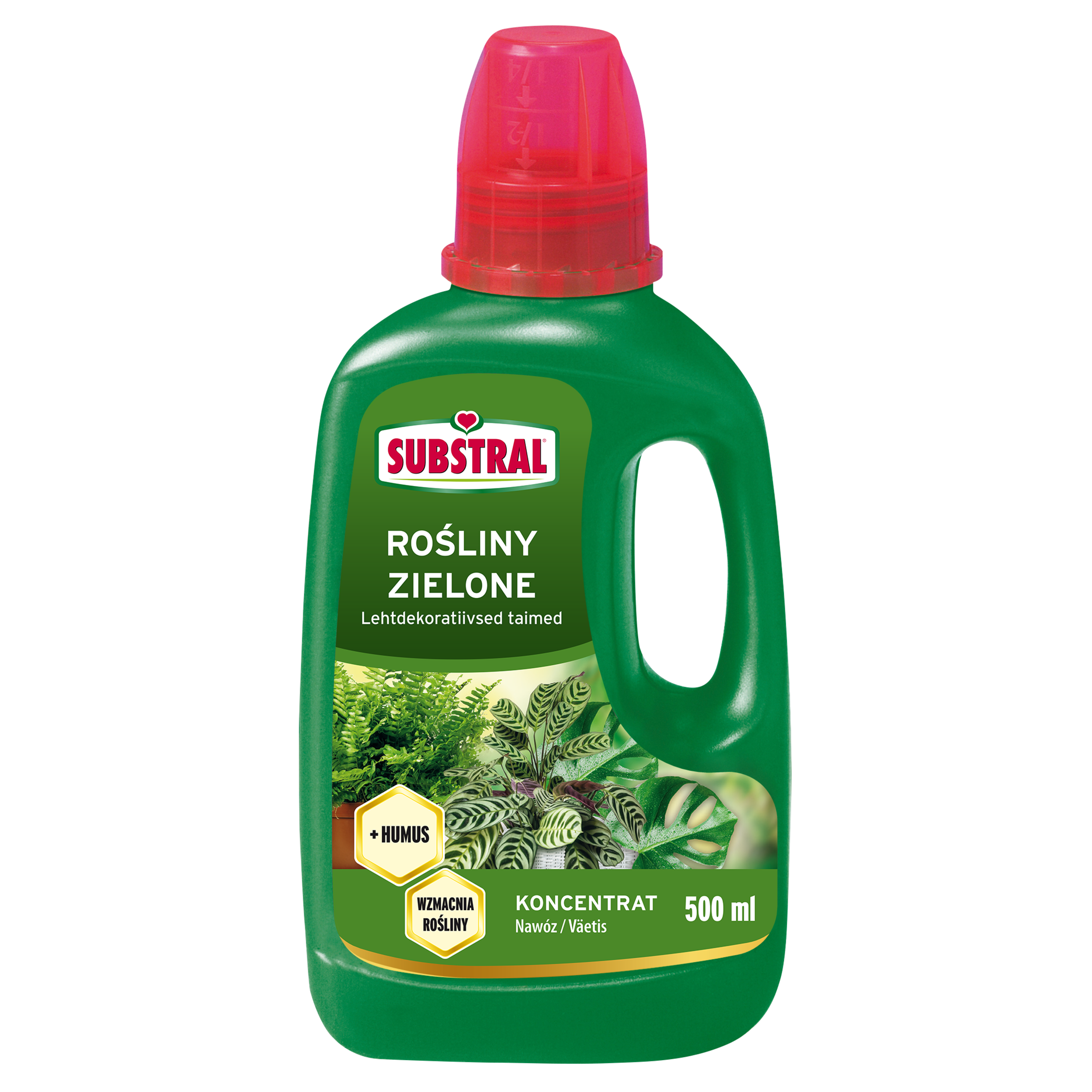 Nawóz do paproci i roślin zielonych 500ml Substral