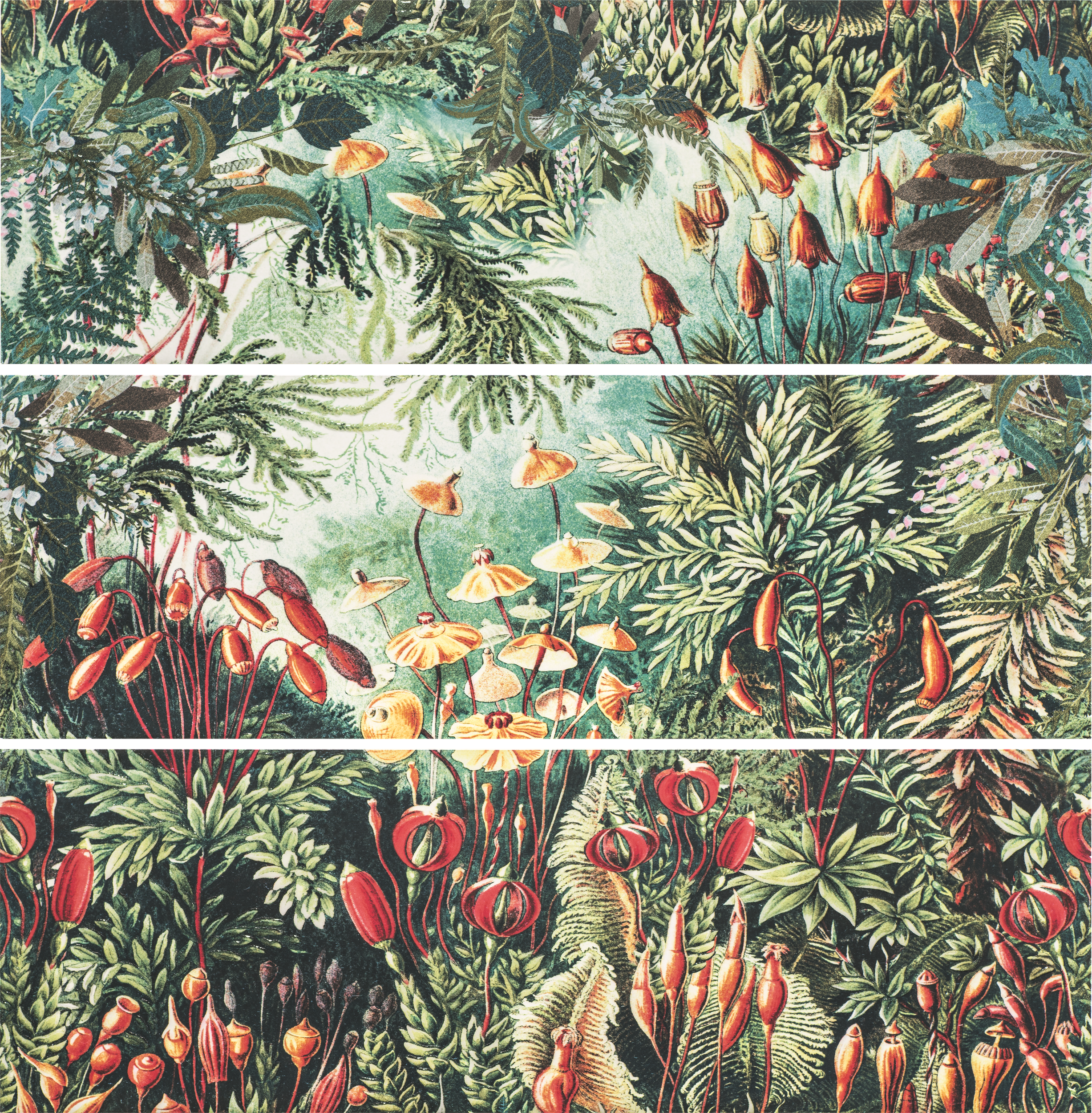 Obraz Wild Jungle 30x90 Saturn