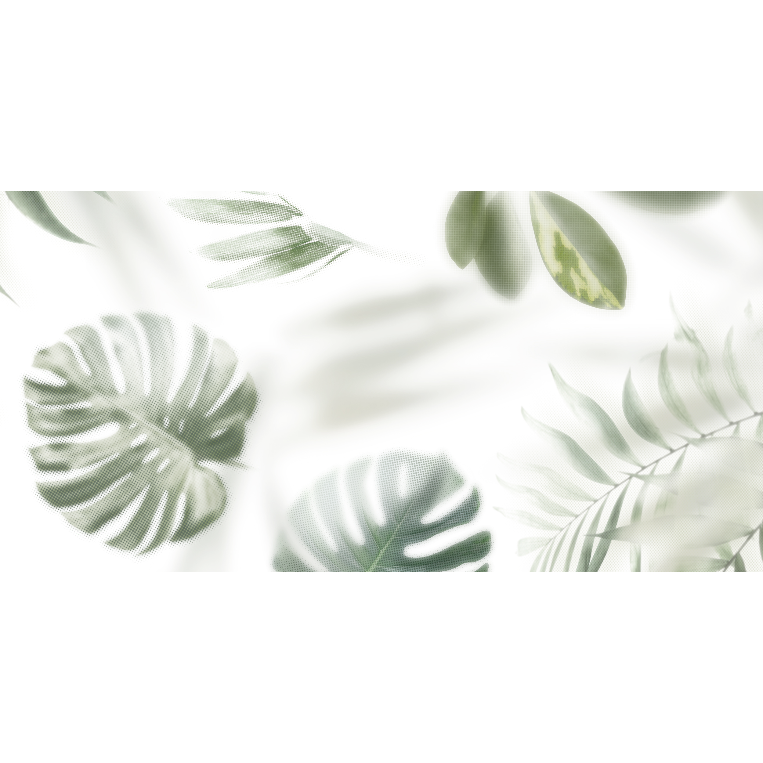 Dekor Frosted Palm 2Z3 30x60 Alfa -Cer