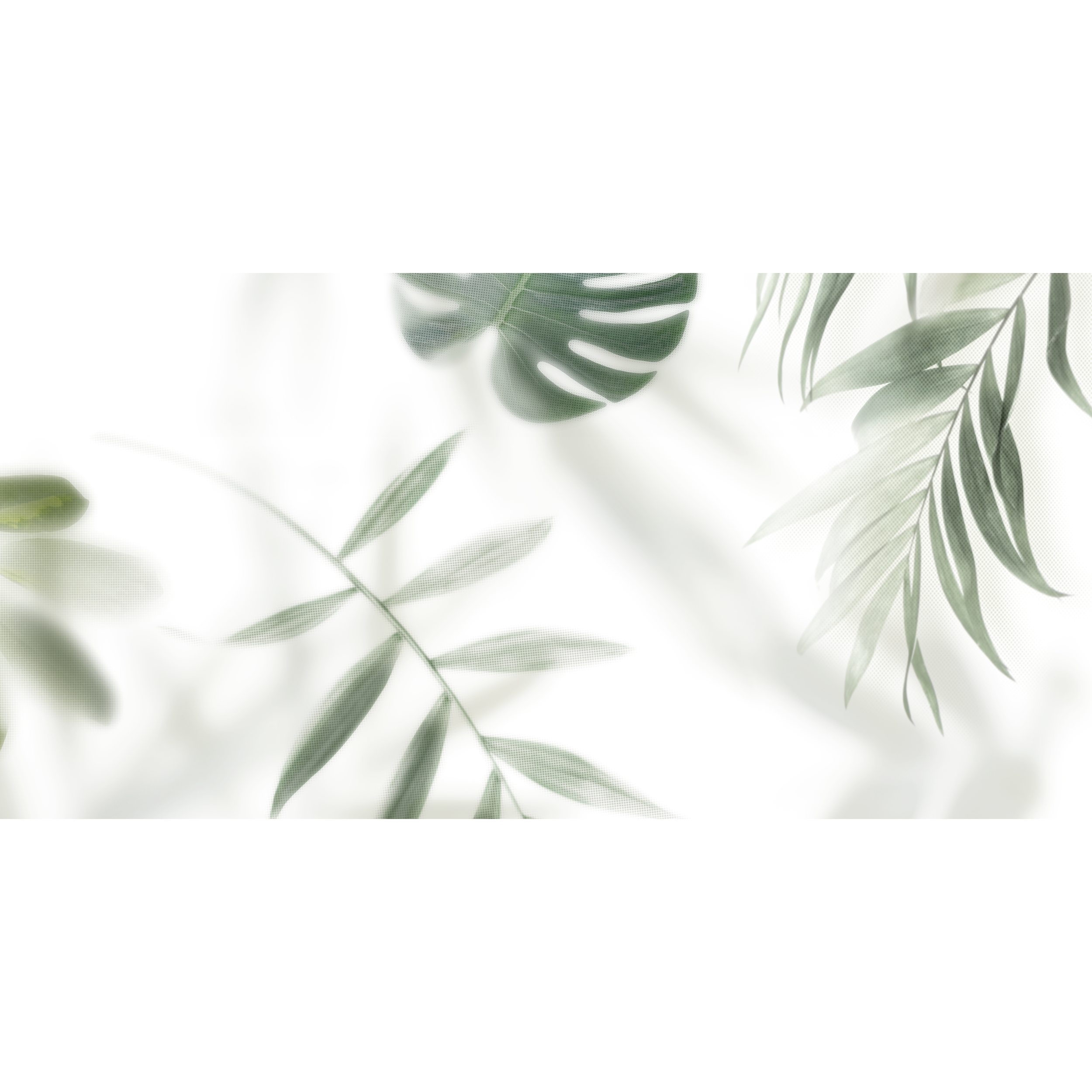 Dekor Frosted Palm 3Z3 30x60 Alfa -Cer