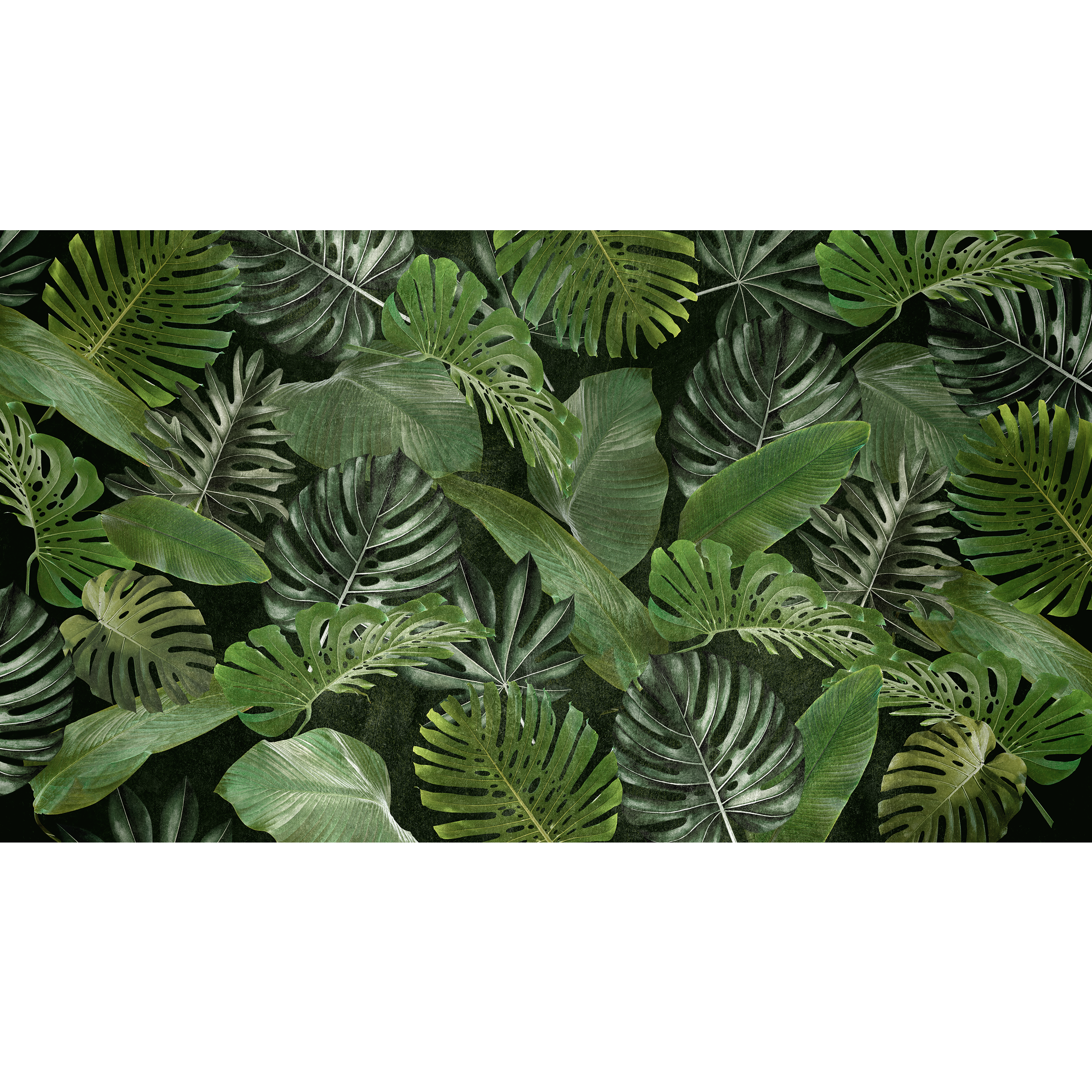 Mural Tropical egzotyczne liście 500 x 280 cm struktura Art