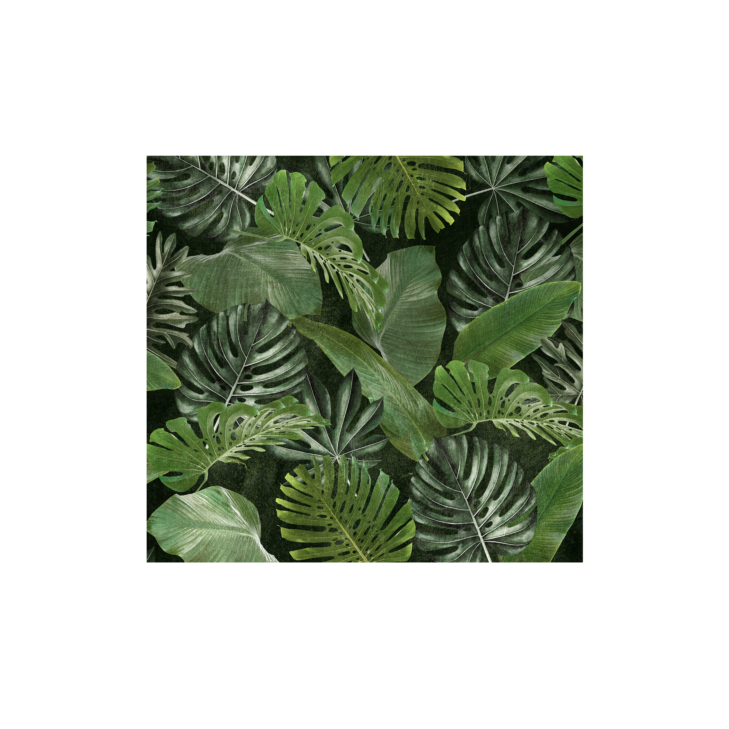 Mural Tropical egzotyczne liście 300 x 280 cm struktura Art
