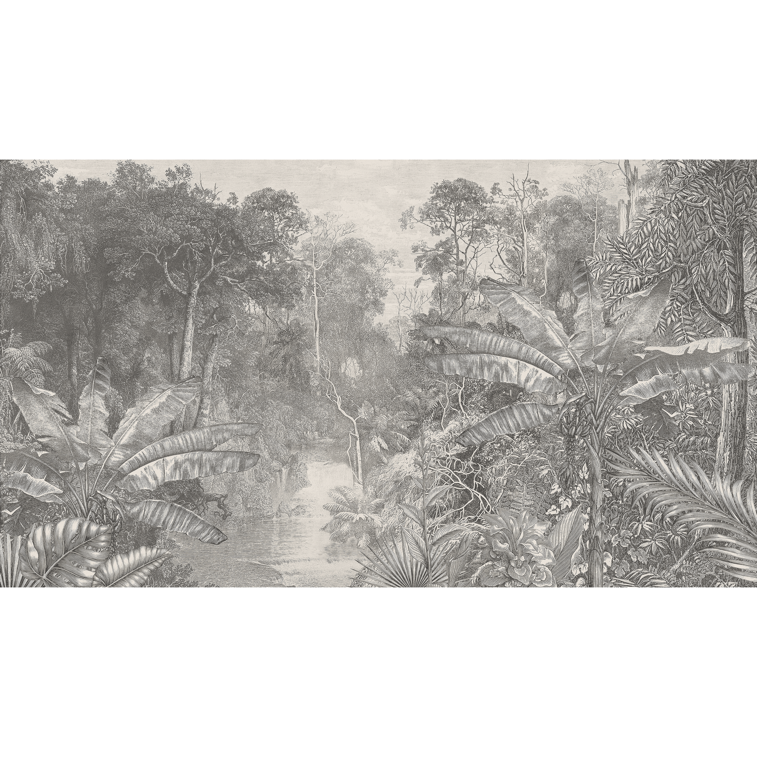 Mural Jungle dżungla w szarości 500 x 280 cm struktura Art