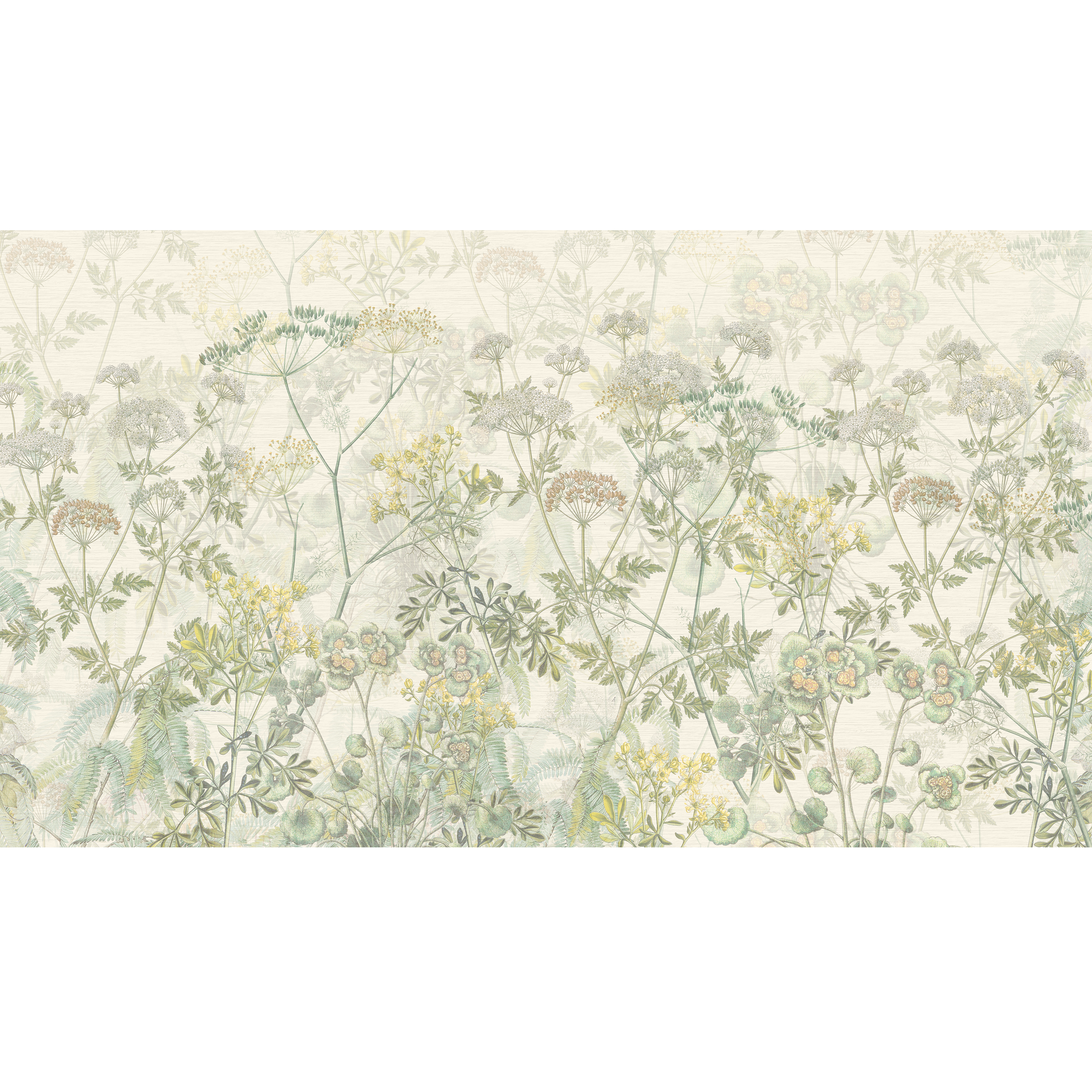 Mural Green Herbs zioła zielone 500 x 280 cm struktura Art