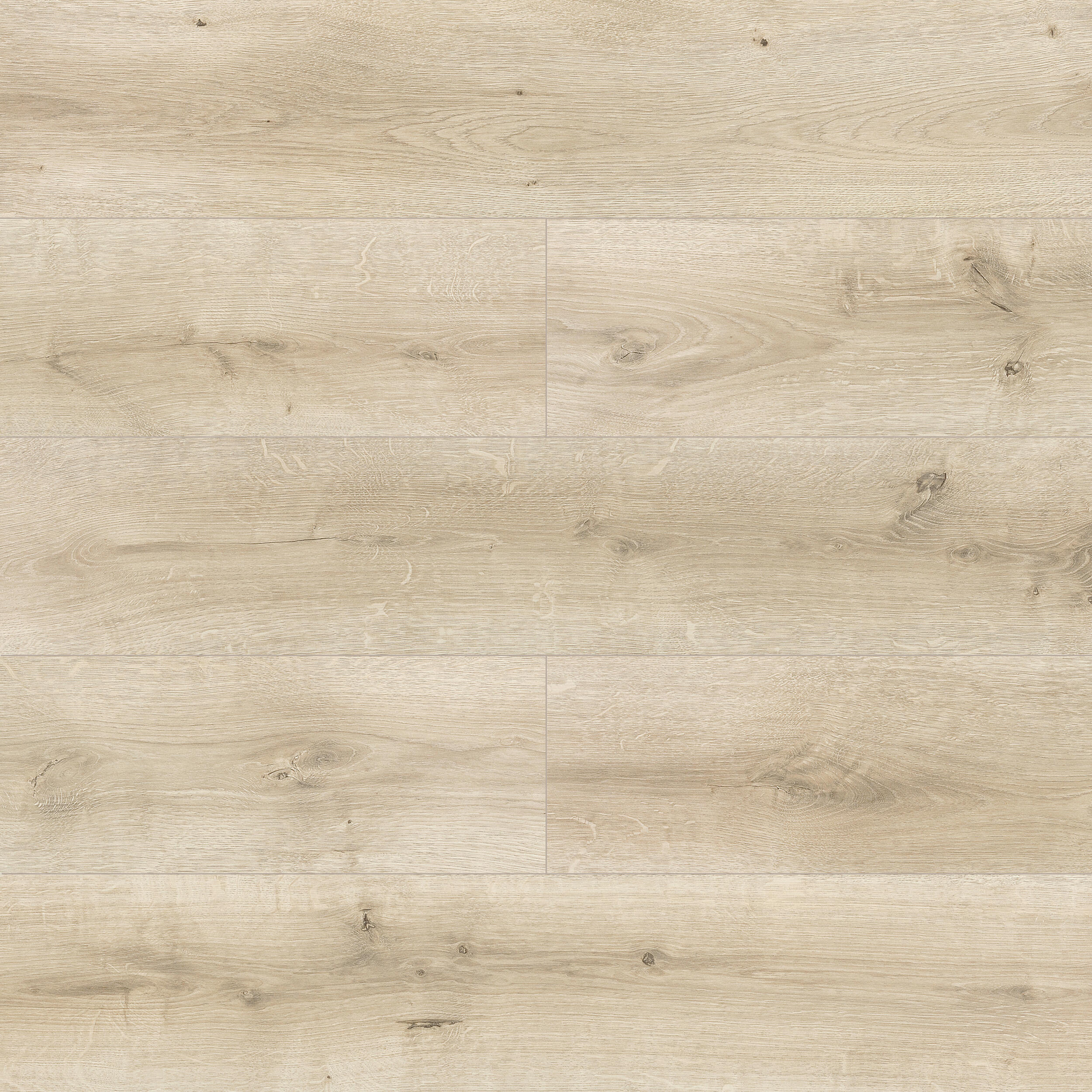 Panele podłogowe laminowane Dąb Loretta AC5 10 mm Promo