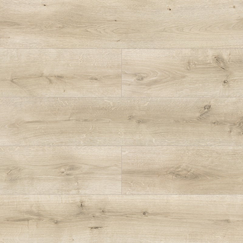 Panele podłogowe laminowane Dąb Loretta AC5 10 mm Promo