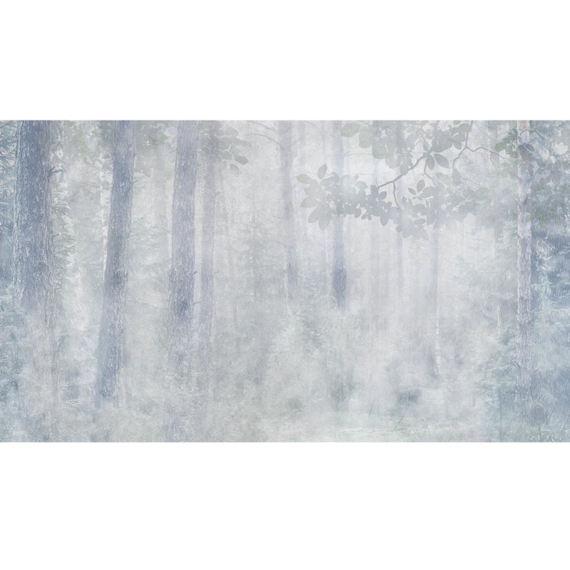 Mural Misty Las 500 x 280 cm delikatna struktura