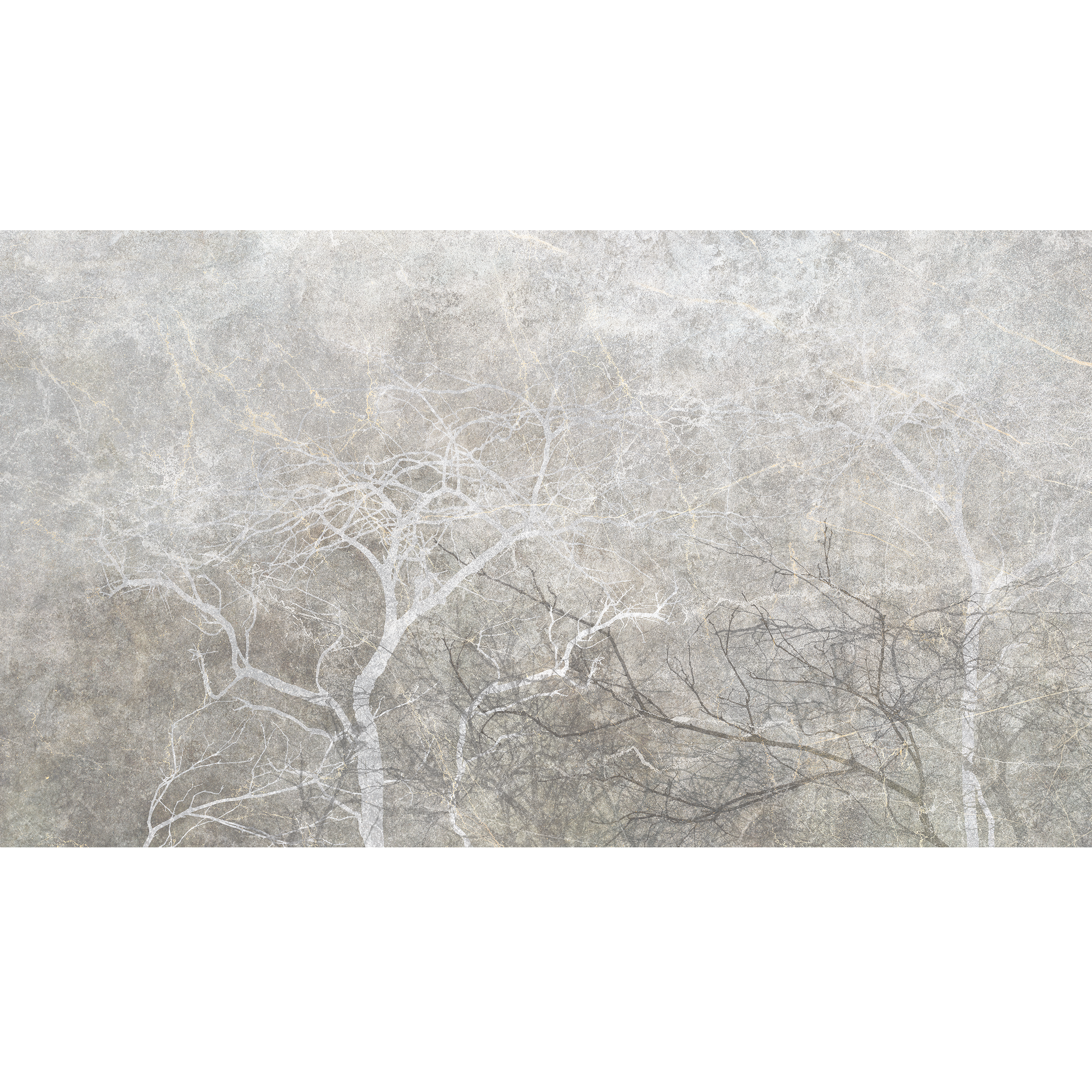 Mural Gray Fog Drzewa 500 x 280 cm delikatna struktura