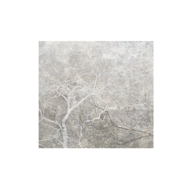 Mural Gray Fog Drzewa 400 x 280 cm struktura Art