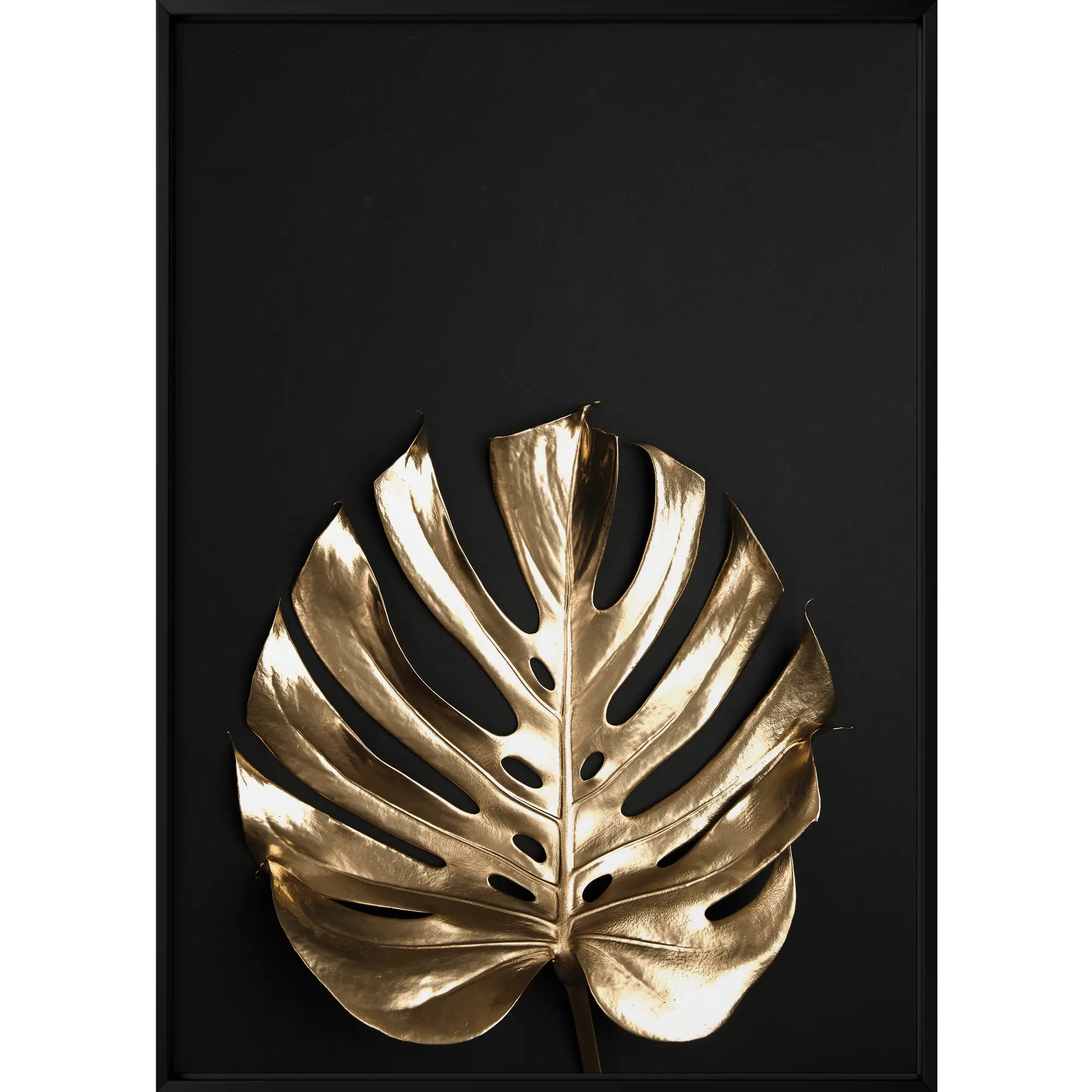 Obraz Monstera 50 x 70 cm