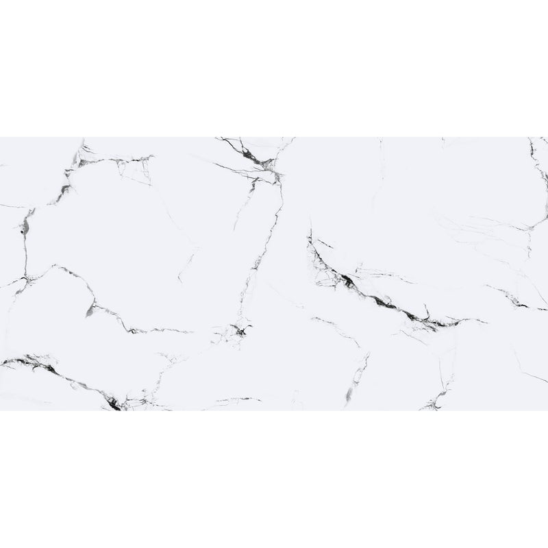 Panele ścienne winylowe 120x60 cm Bianco Nero GL biało czarny marmur błyszczący