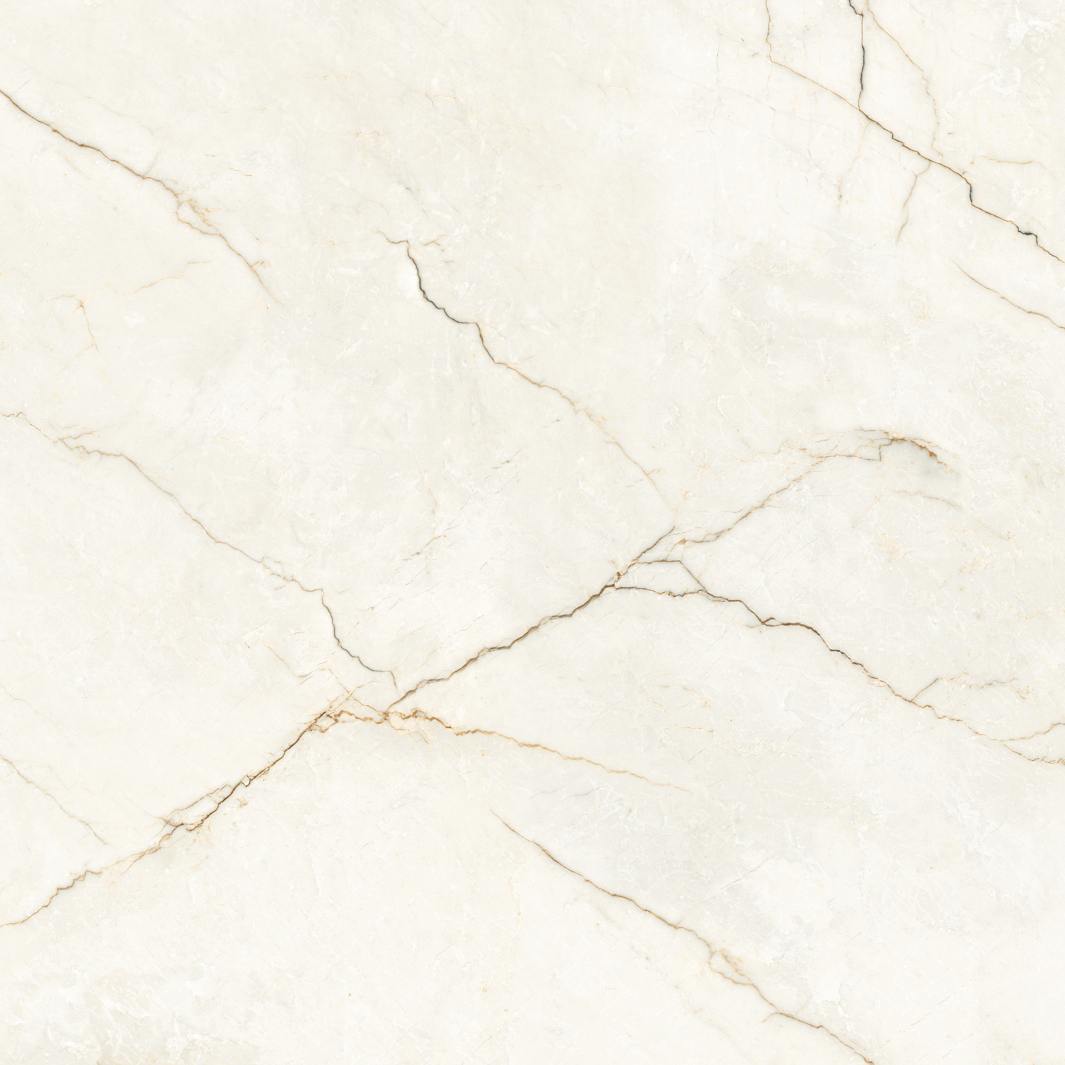 Gres szkliwiony Rosalio Bianco Poler 120x120 Egen
