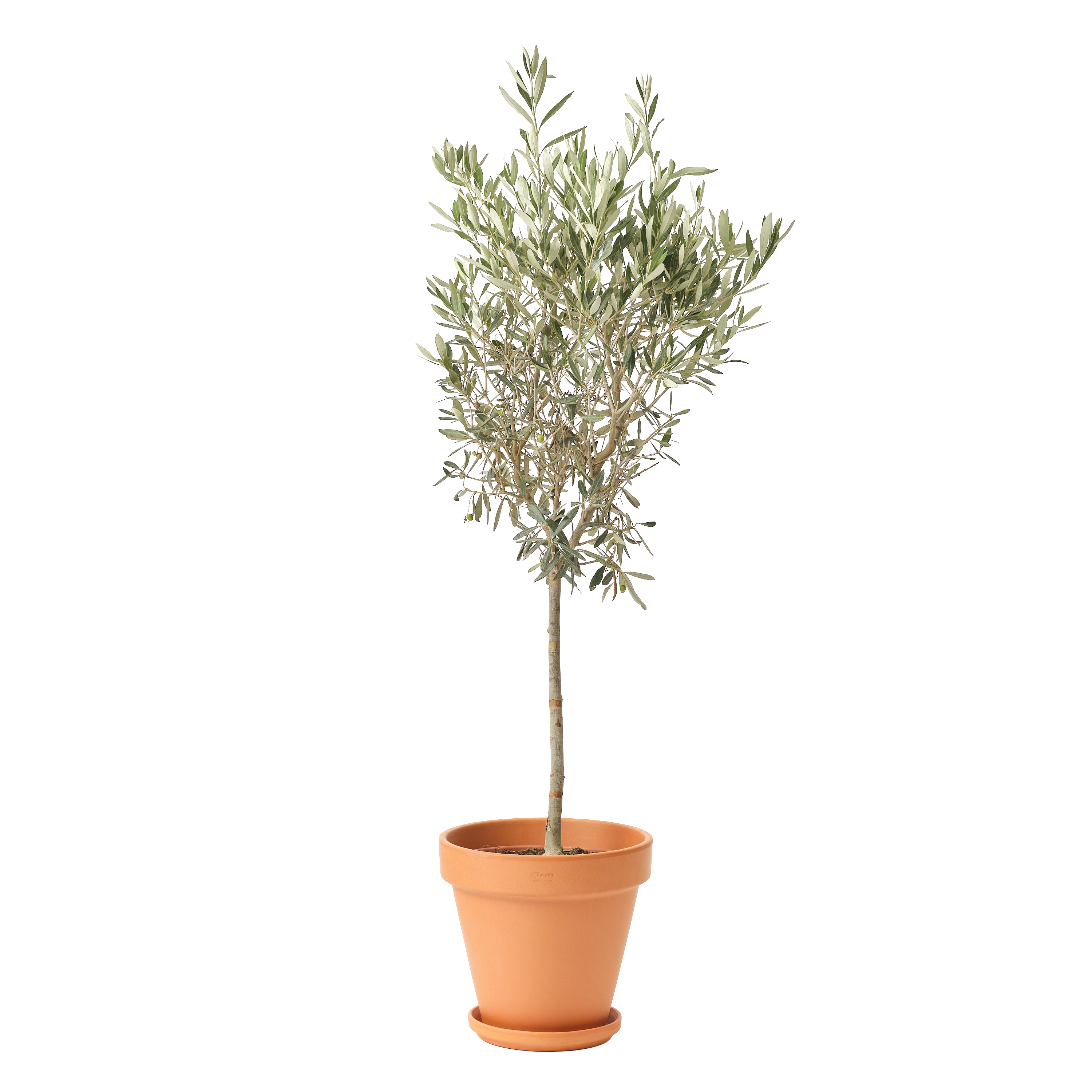 Doniczka terakotowa Gobi 29cm Geolia