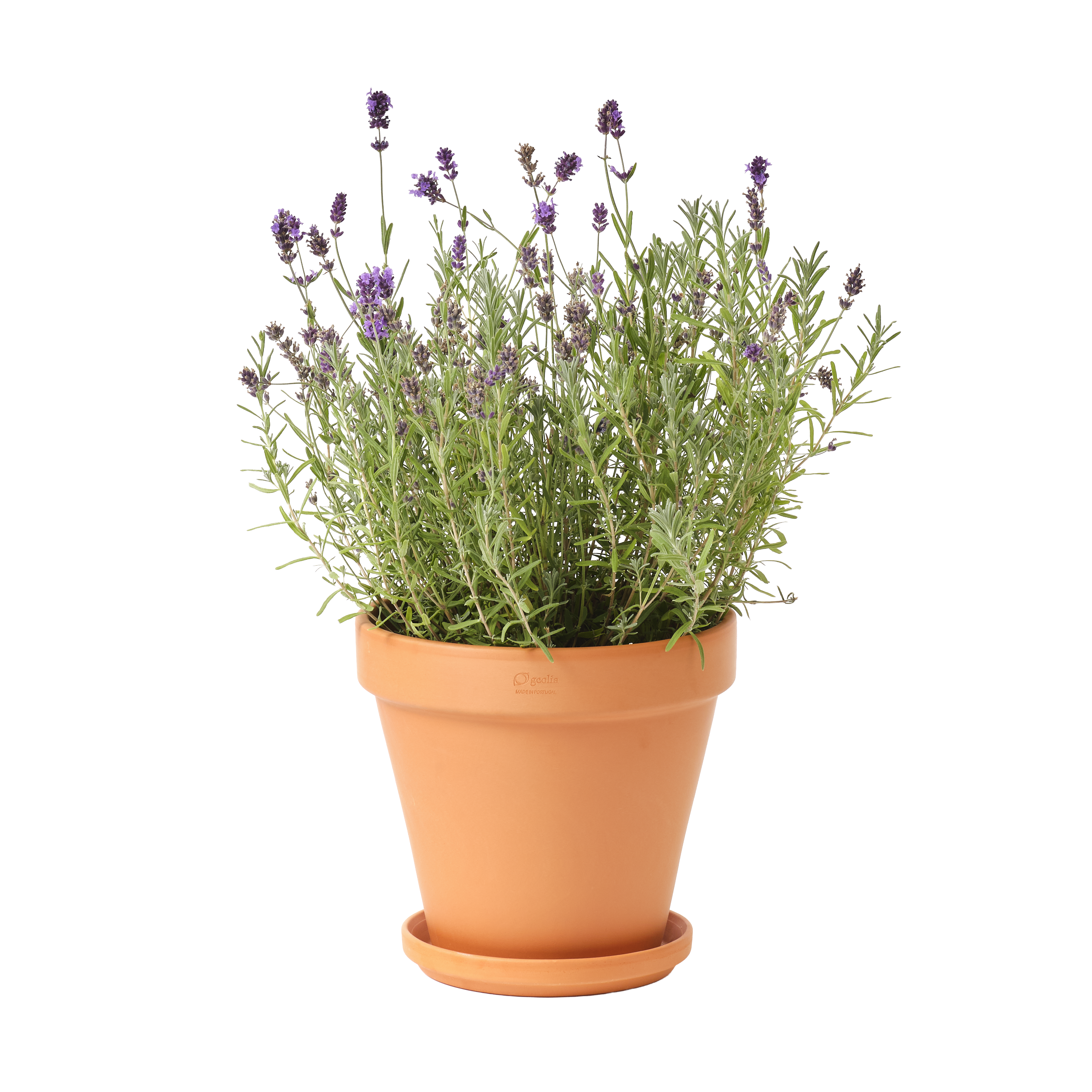 Doniczka terakotowa Gobi 25cm Geolia