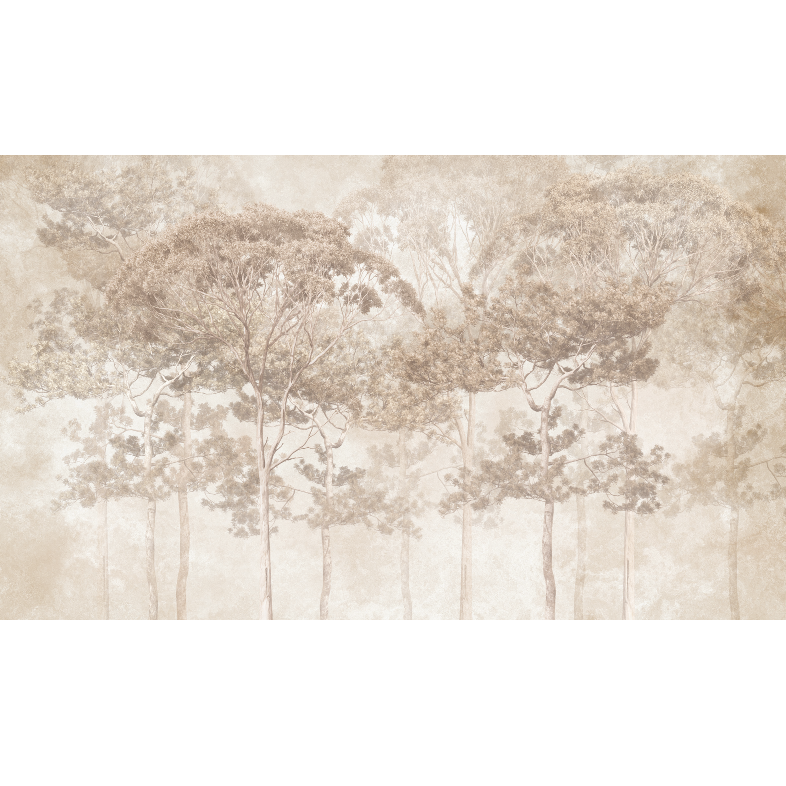 Mural Pine natura 500 x 280 cm delikatna struktura