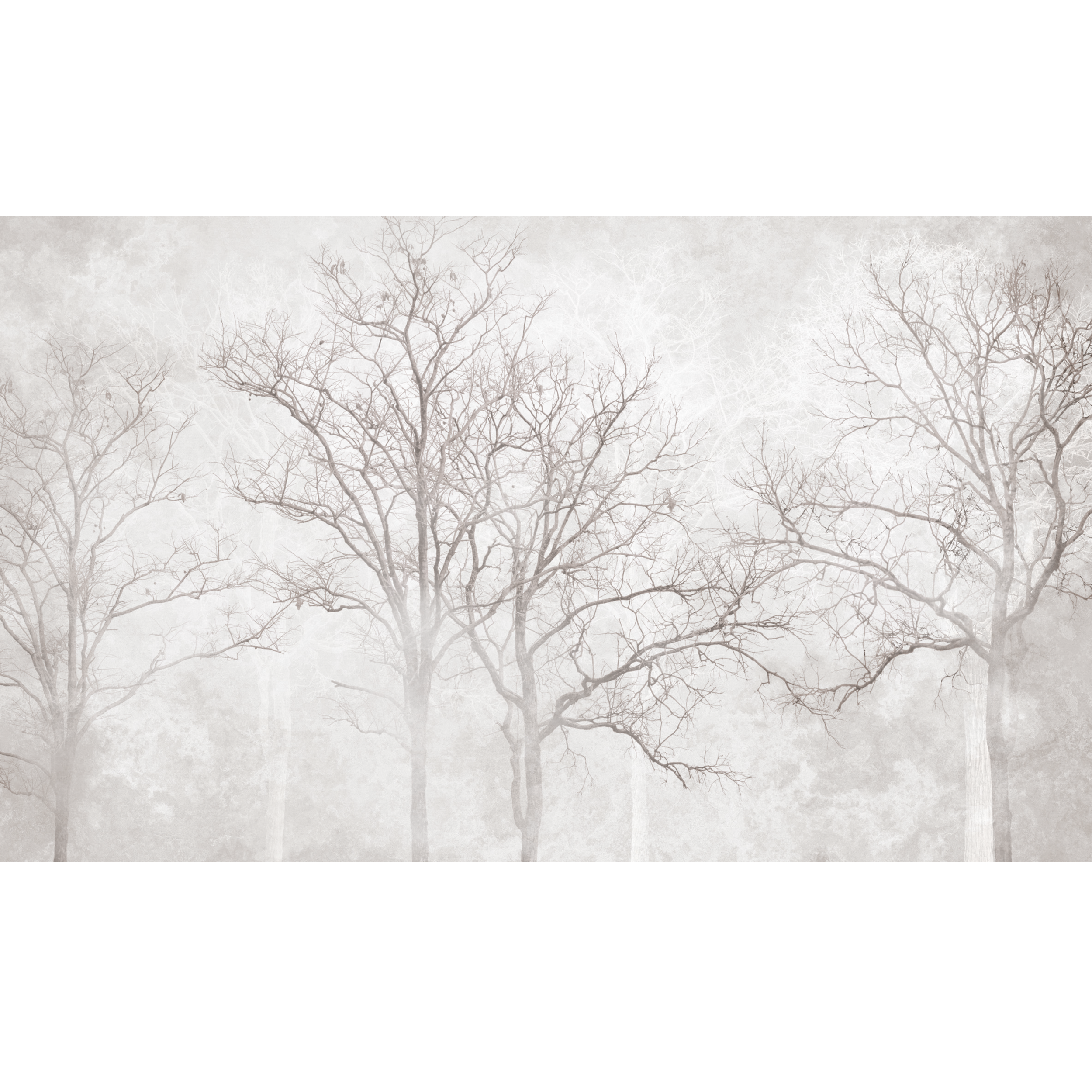 Mural Arbor natura 500 x 280 cm delikatna struktura