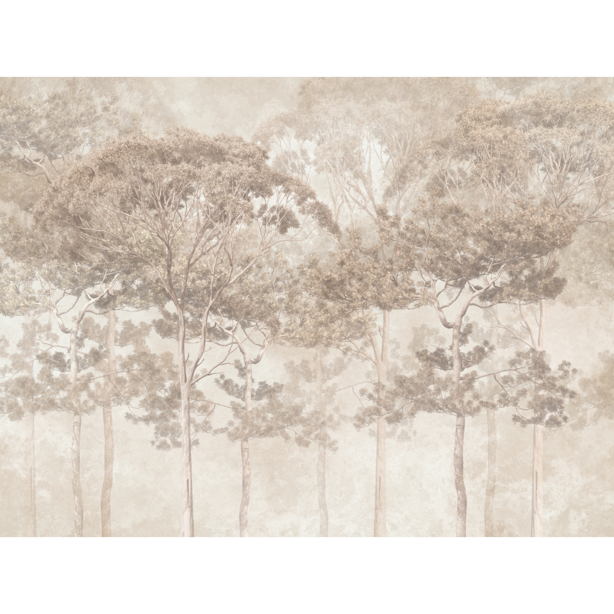 Mural Pine natura 400 x 280 cm delikatna struktura