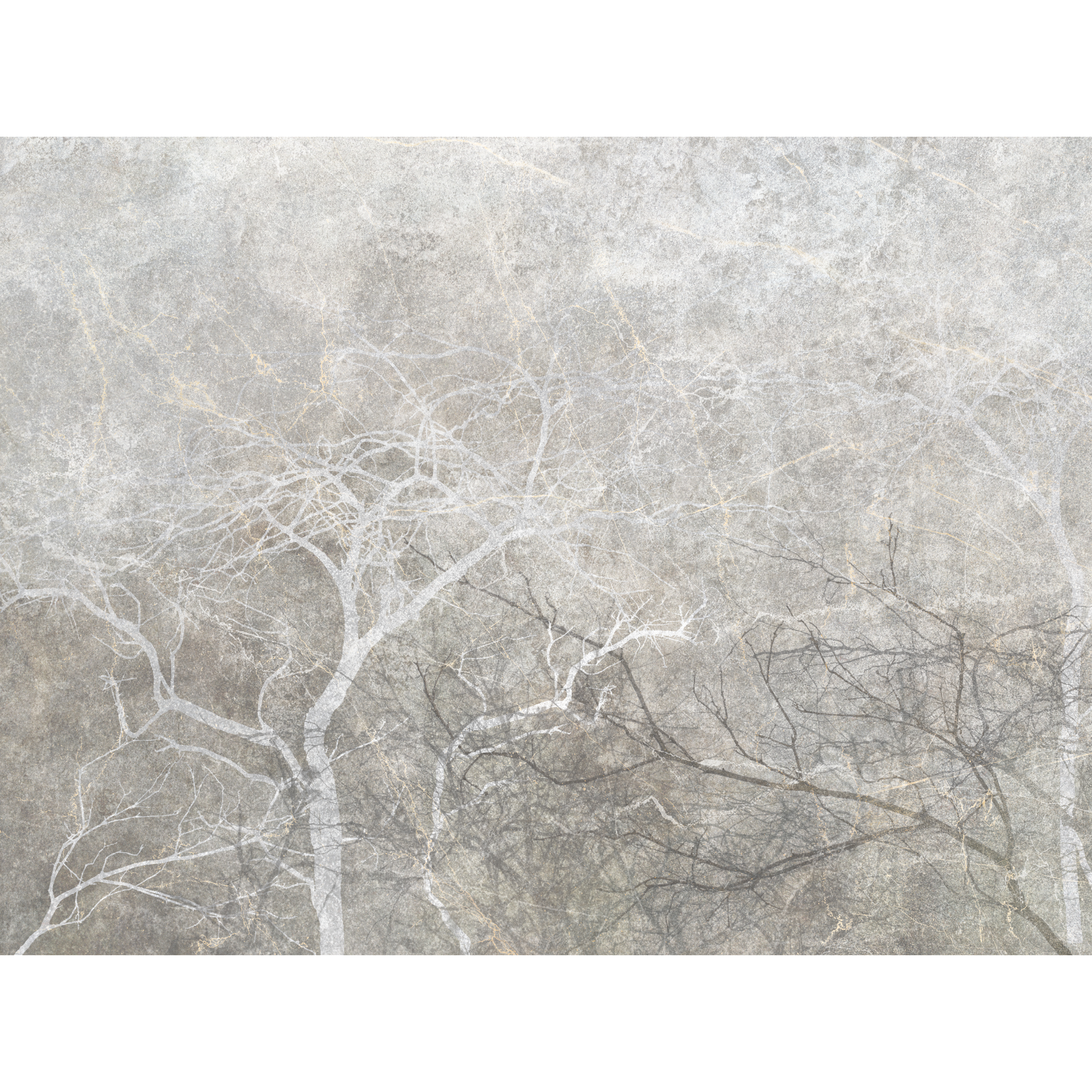 Mural Gray Fog Drzewa 400 x 280 cm delikatna struktura