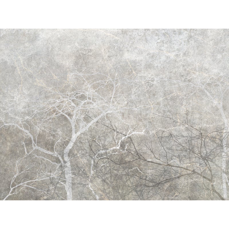 Mural Gray Fog Drzewa 400 x 280 cm delikatna struktura