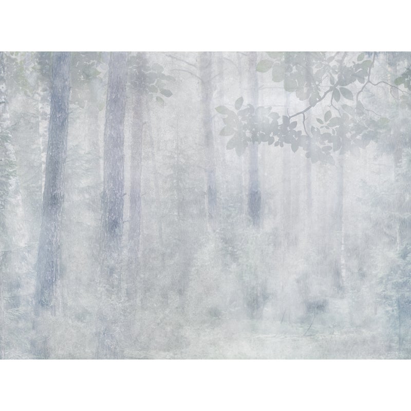 Mural Misty Las 400 x 280 cm struktura Art