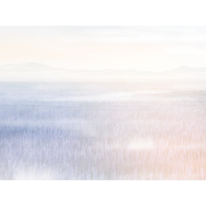 Mural Lavender pola lawendy 400 x 280 cm struktura Art