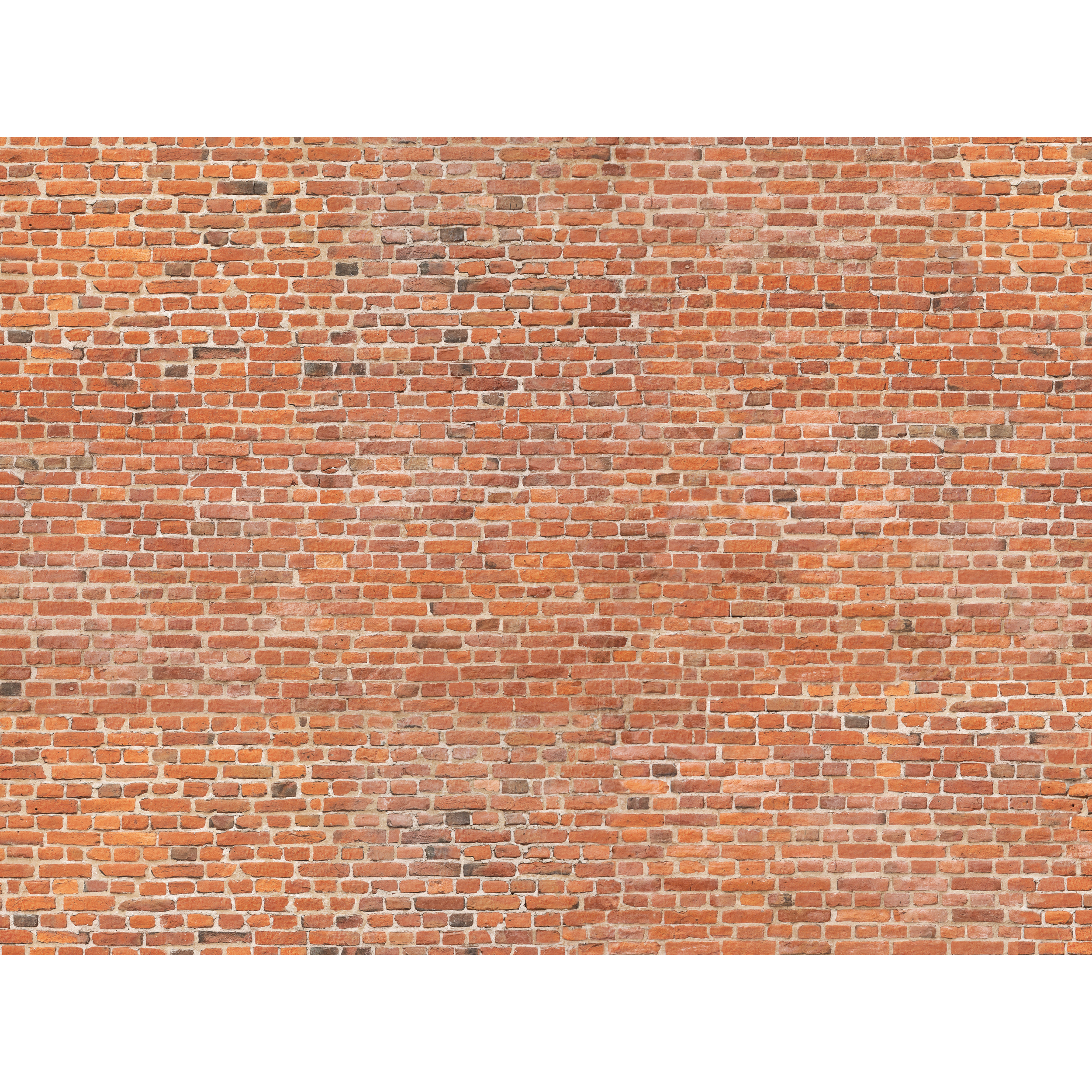 Mural Brick cegła czerwona 400 x 280 cm struktura Art