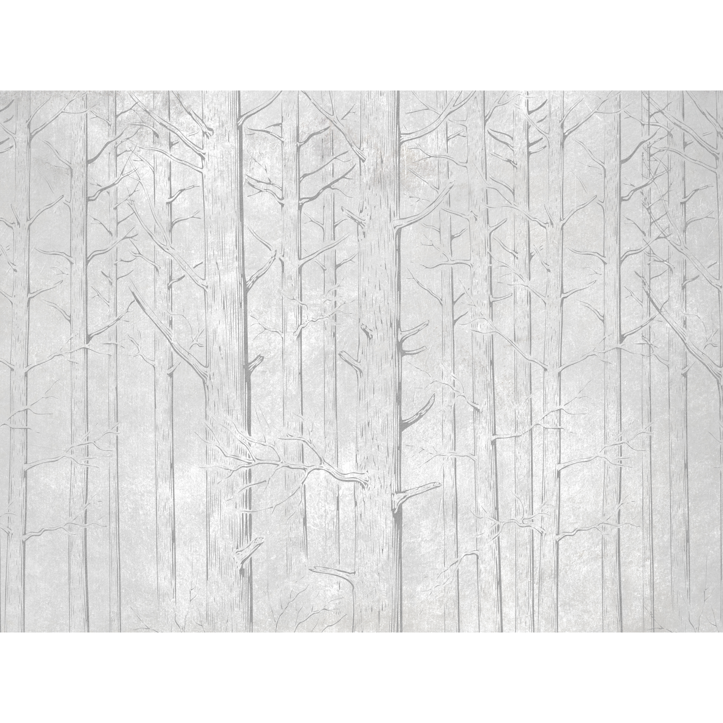 Mural Tres las w odcieniach szarości 400 x 280 cm struktura Art