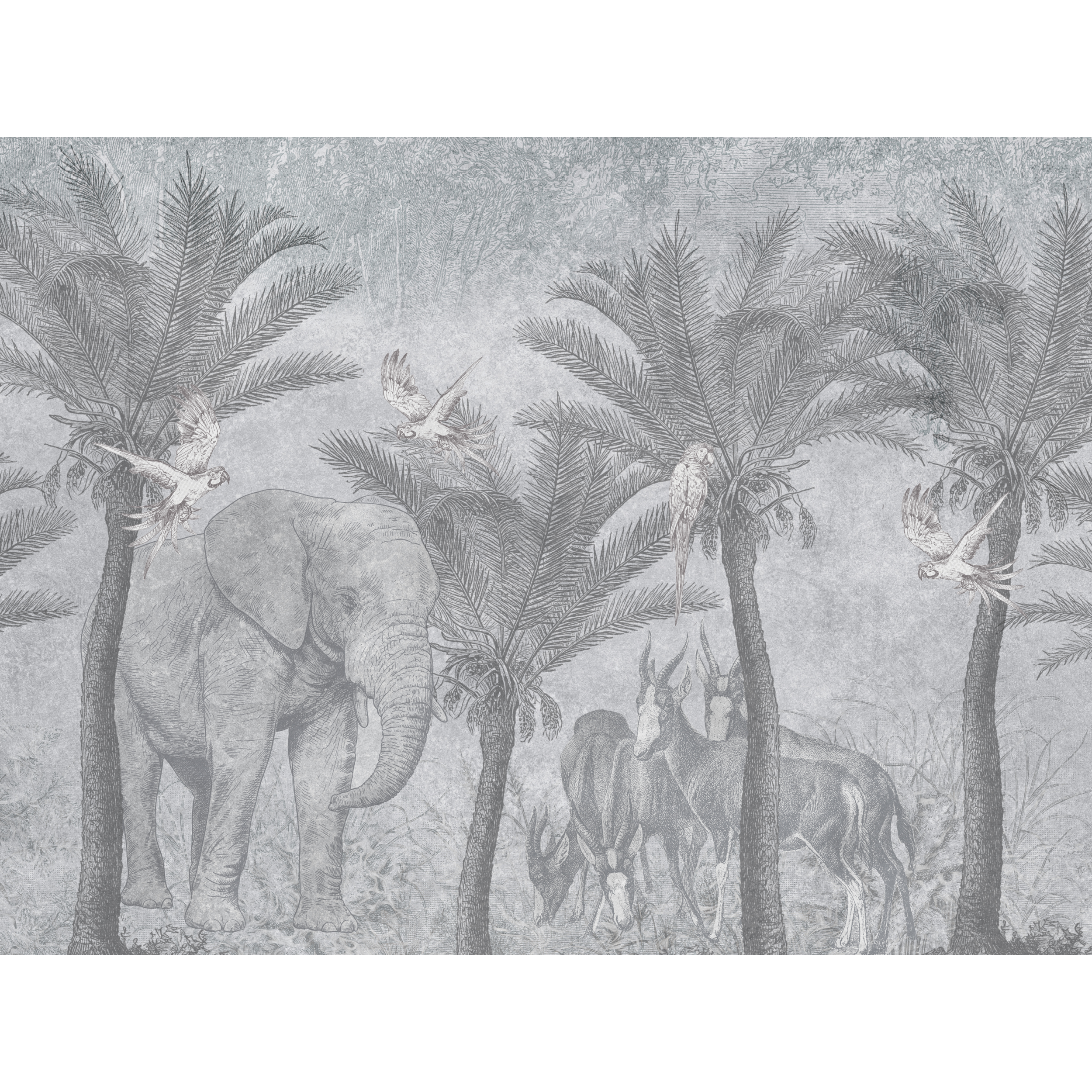 Mural Kongo afrykańska dżungla 400 x 280 cm struktura Art
