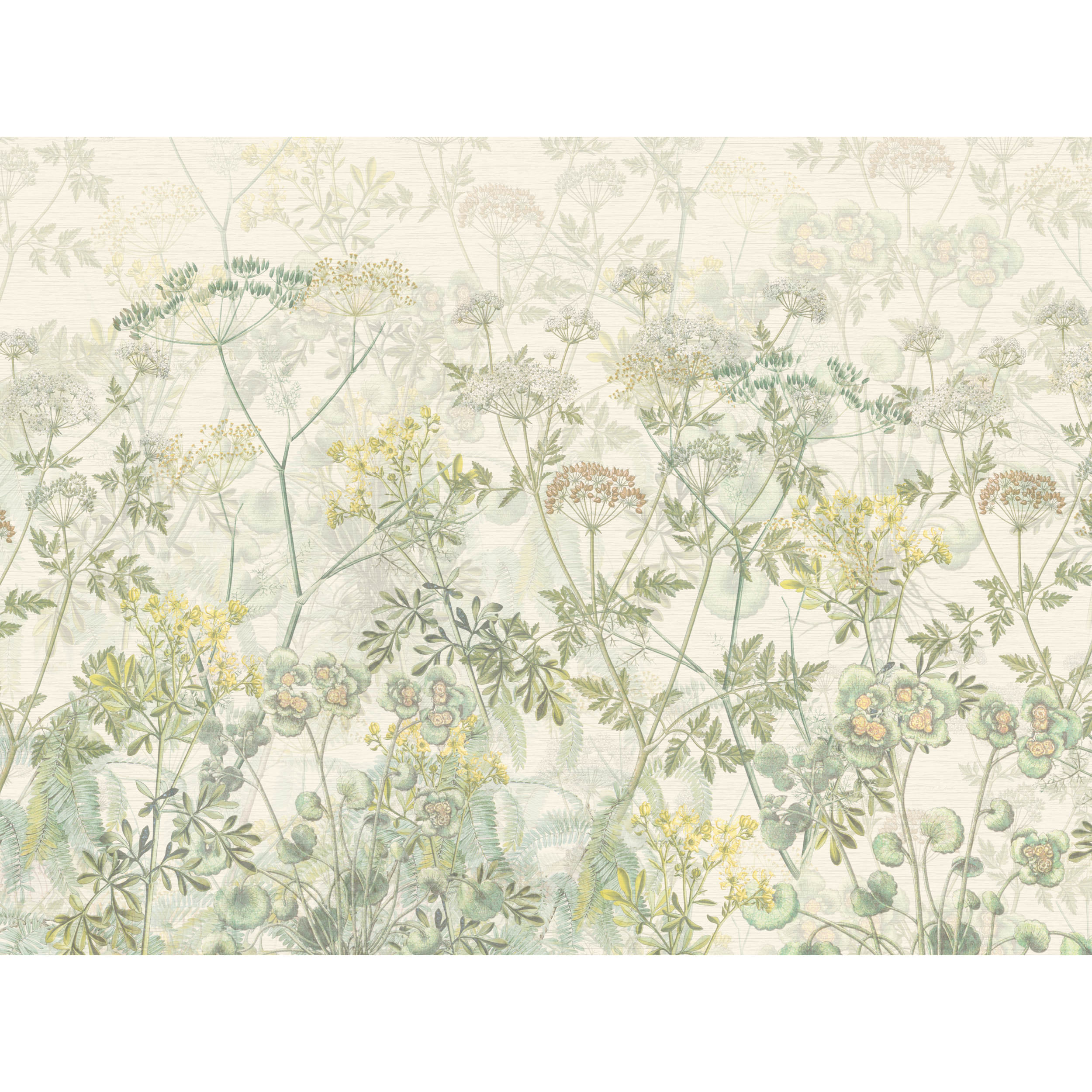 Mural Green Herbs zioła zielone 400 x 280 cm struktura Art