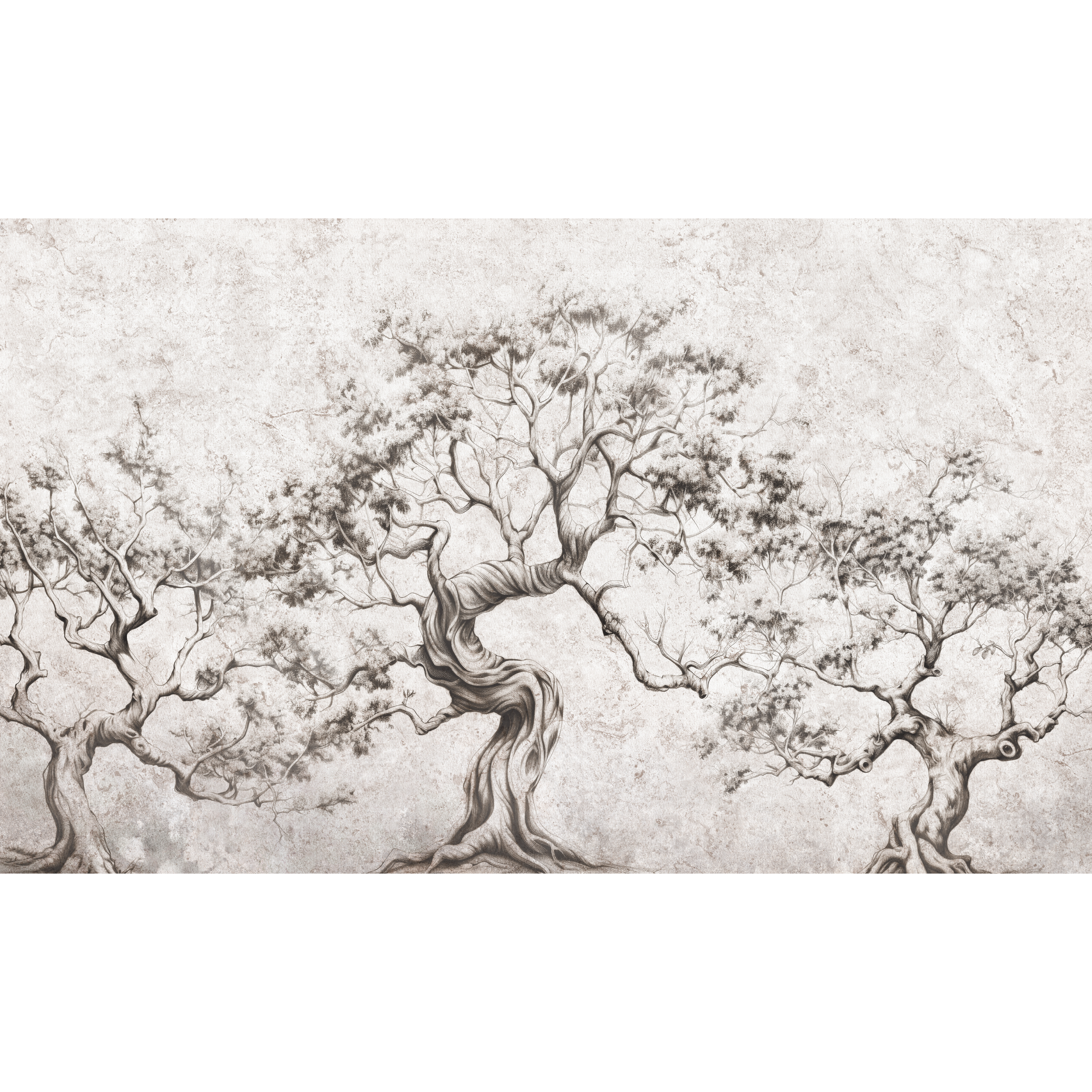 Mural Timber natura 500 x 280 cm struktura płótna
