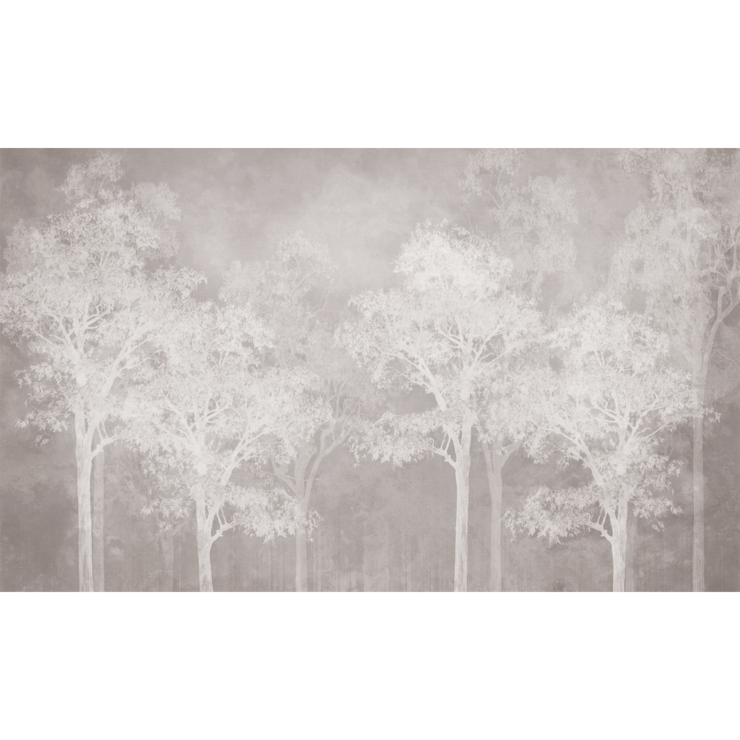 Mural Cove natura 500 x 280 cm delikatna struktura