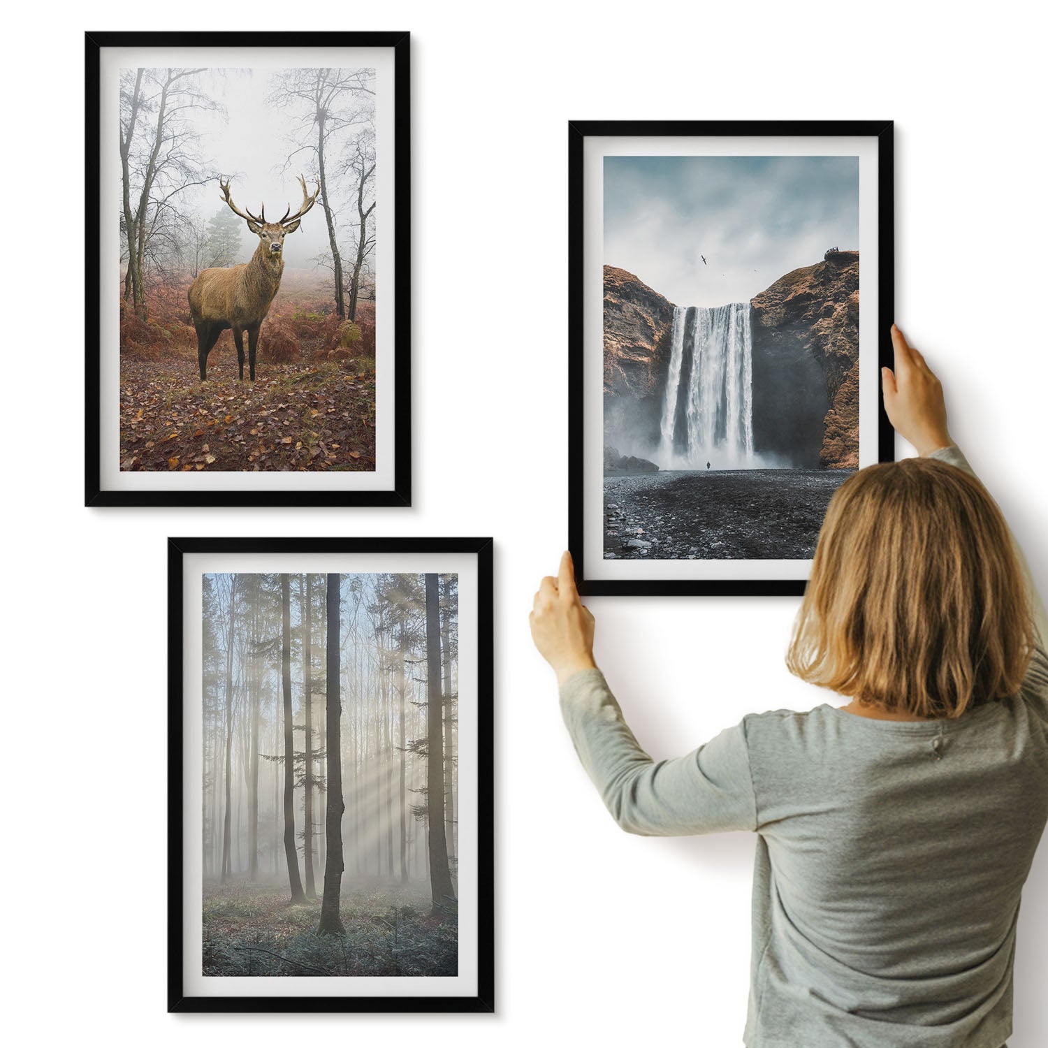 Galeria ścienna 3-częściowy komplet obrazów w czarnych ramach - Leśne krajobrazy dzika natura jeleń - ArtPrintCave