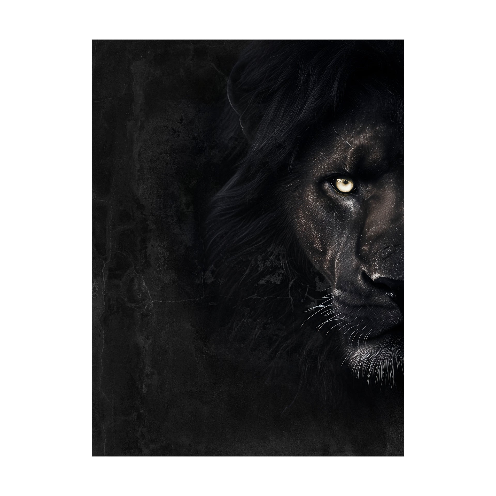 Obraz na płótnie CANVAS Black Lion 60x80
