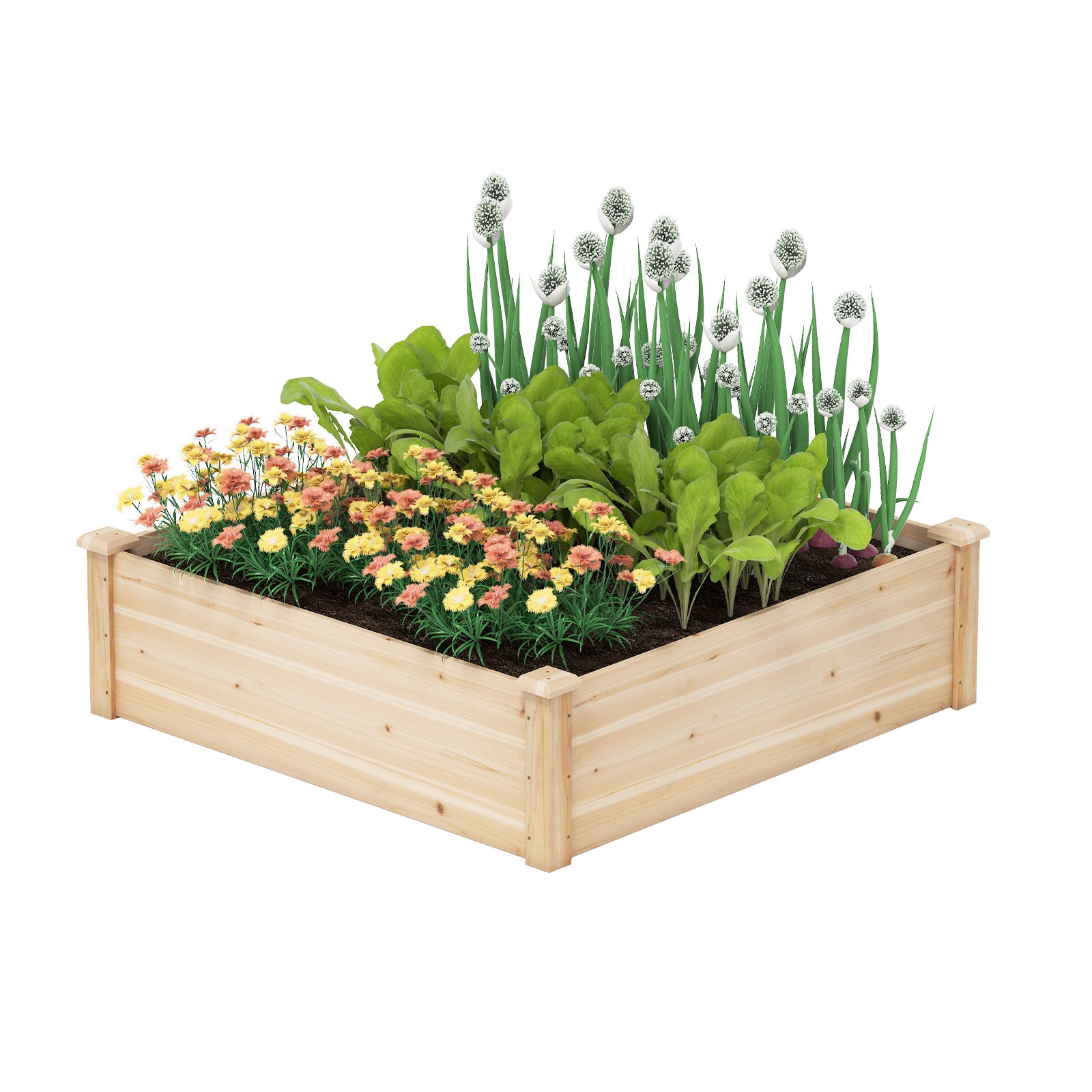 Podwyższona skrzynka ogrodowa z drewna jodłowego z otwartą podstawą 102 x 102 x 30 cm, łatwa w montażu skrzynka ogrodowa do uprawy owoców i warzyw