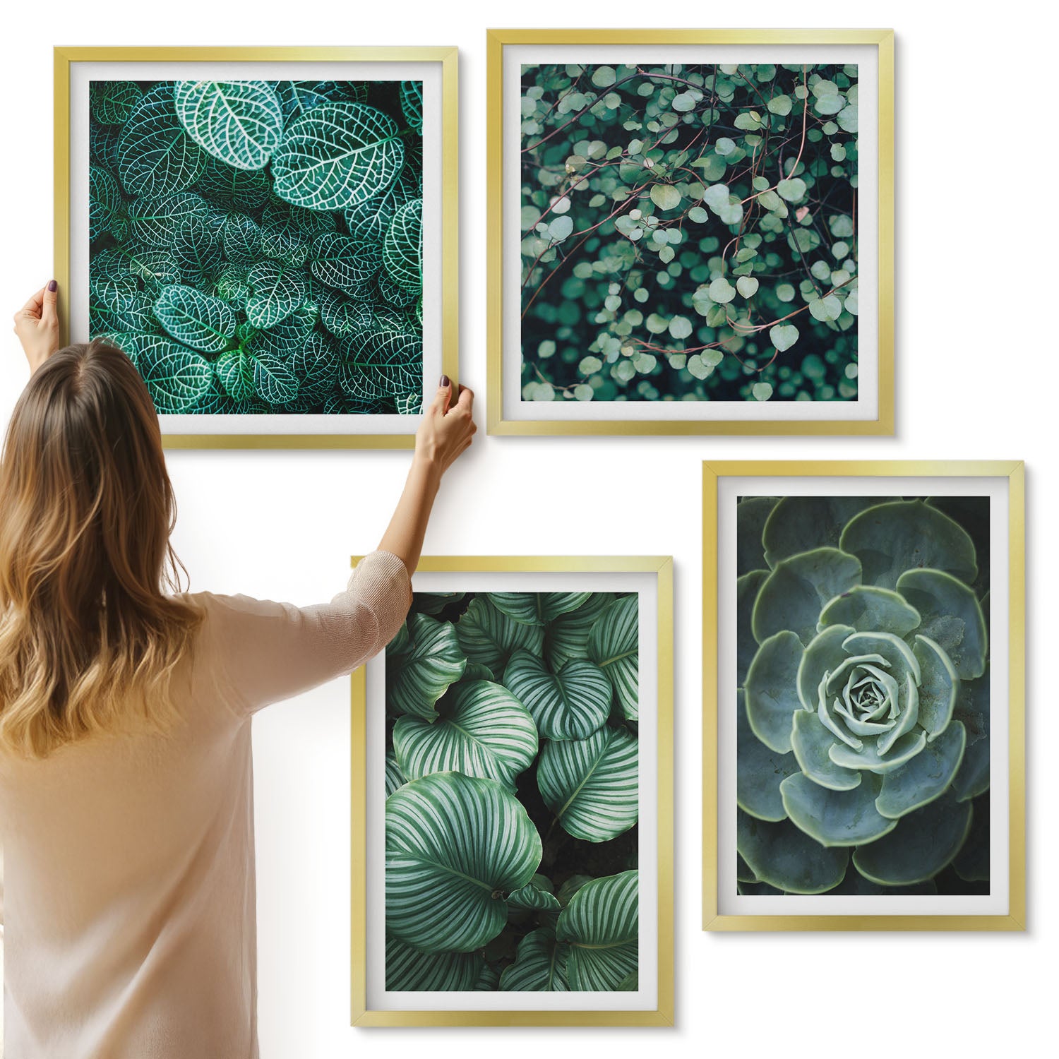 Galeria ścienna 4-częściowy komplet obrazów w złotych ramach - Zielonych rośliny liściaste i sukulenty stylowe - ArtPrintCave