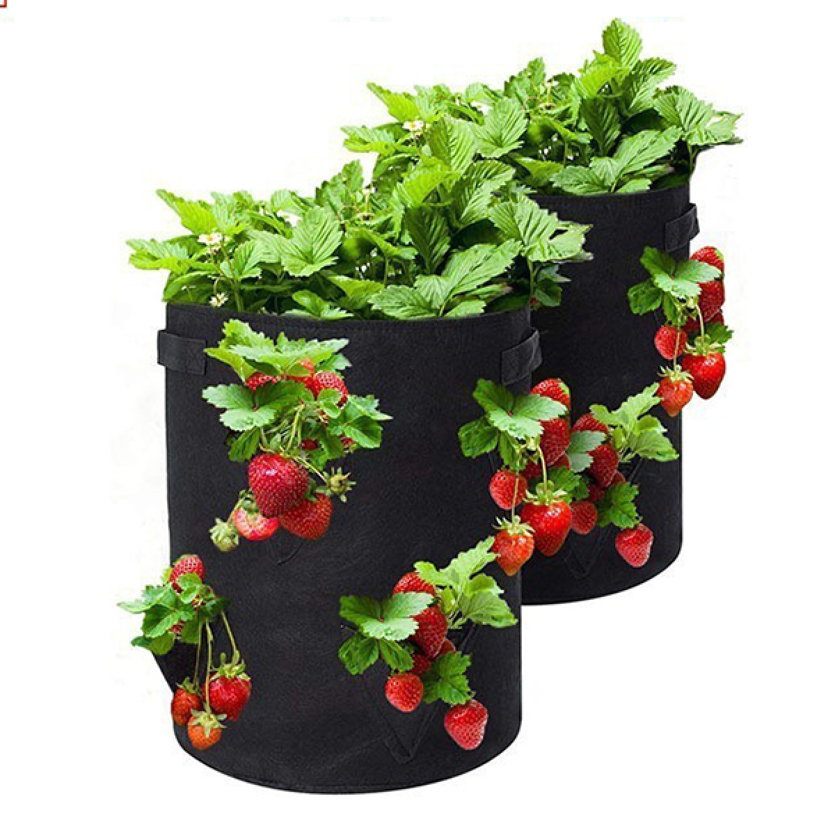Worek do sadzenia 40 * 35 cm, 2 sztuki, filcowy worek do sadzonek 5 galonów, wiadro do sadzenia, łatwy do przesadzania, uprawa rolna
