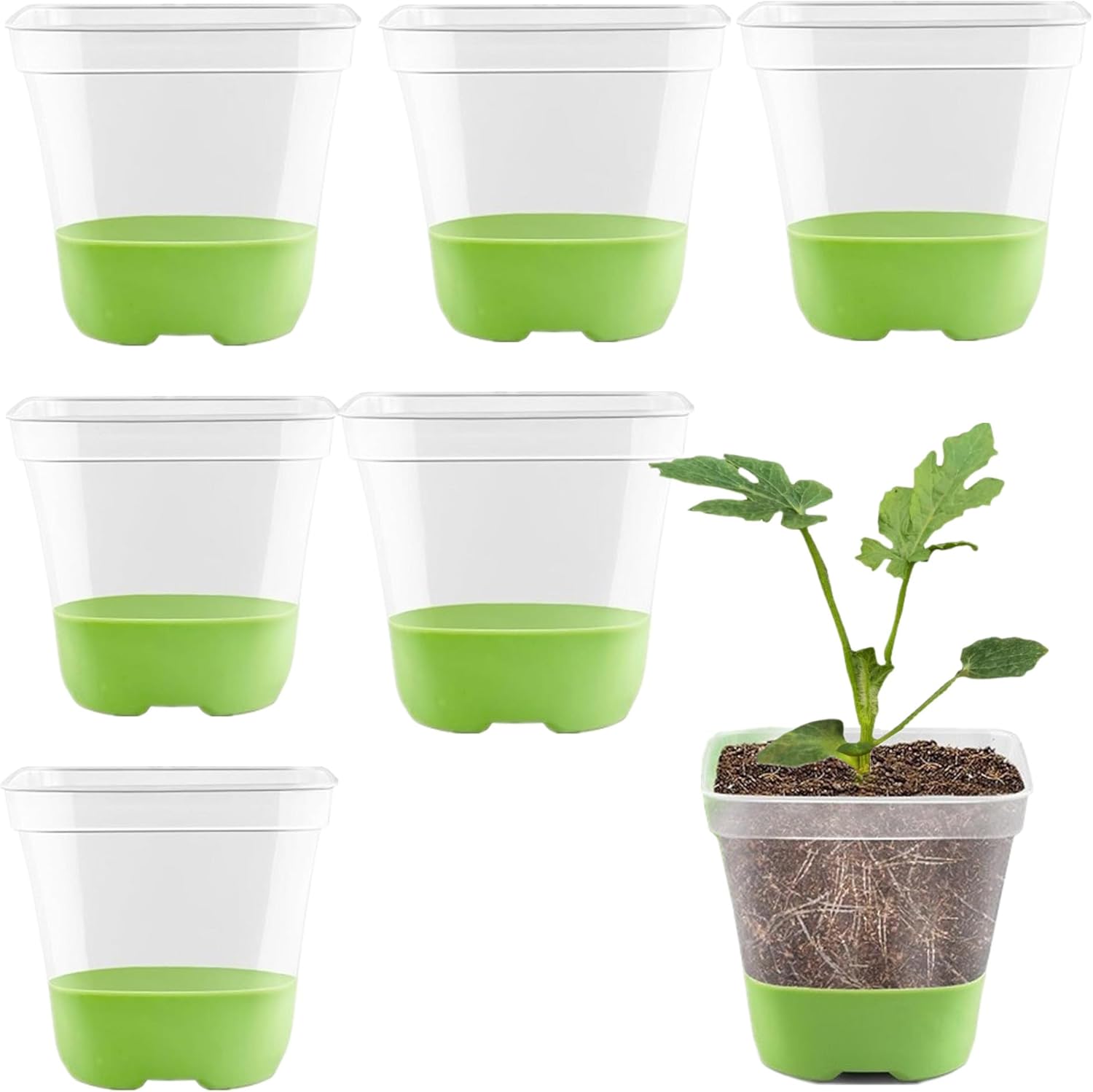 6-częściowe plastikowe doniczki na kwiaty z silikonową podstawą, przezroczyste plastikowe doniczki wielokrotnego użytku na sadzonki z 6 etykietami