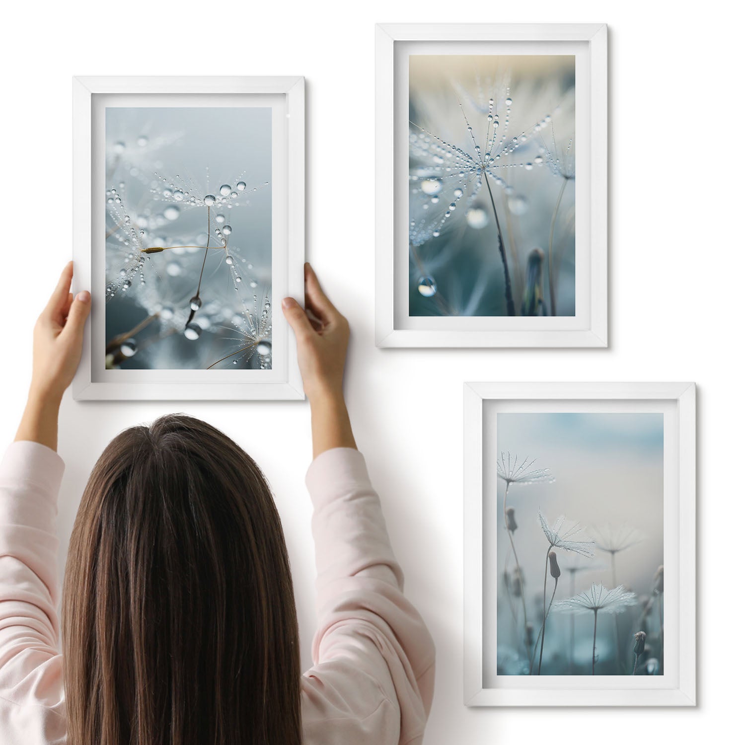 Galeria ścienna 3-częściowy komplet obrazów w białych ramach - Krople rosy na delikatnych dmuchawcach - ArtPrintCave