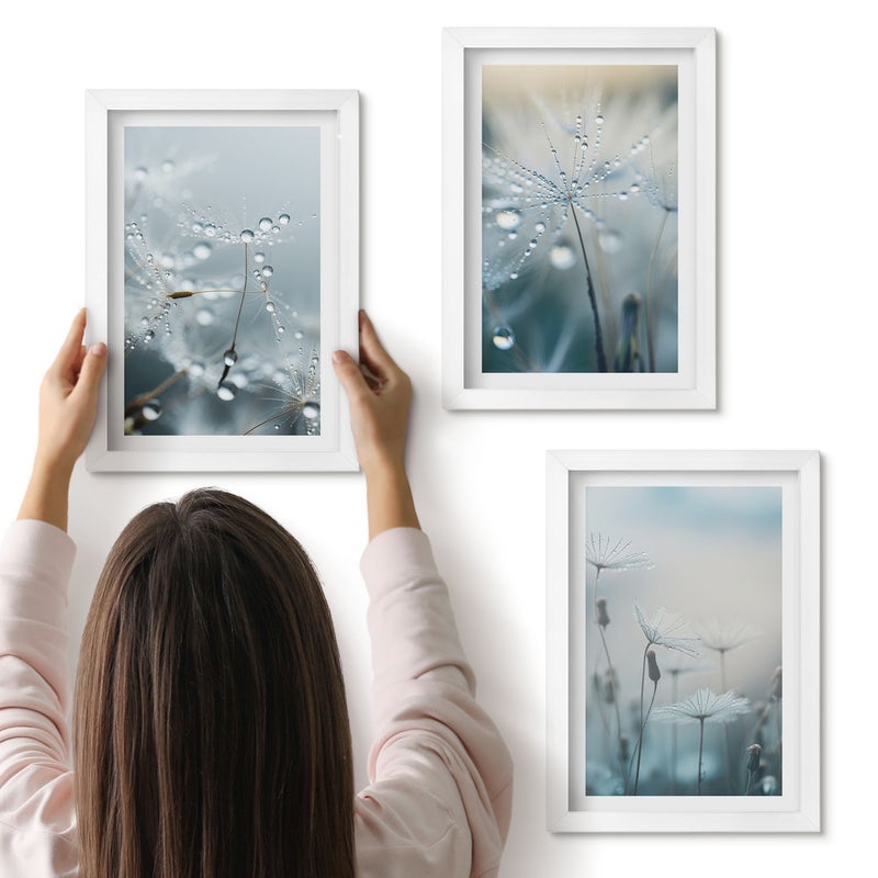 Galeria ścienna 3-częściowy komplet obrazów w białych ramach - Krople rosy na delikatnych dmuchawcach - ArtPrintCave