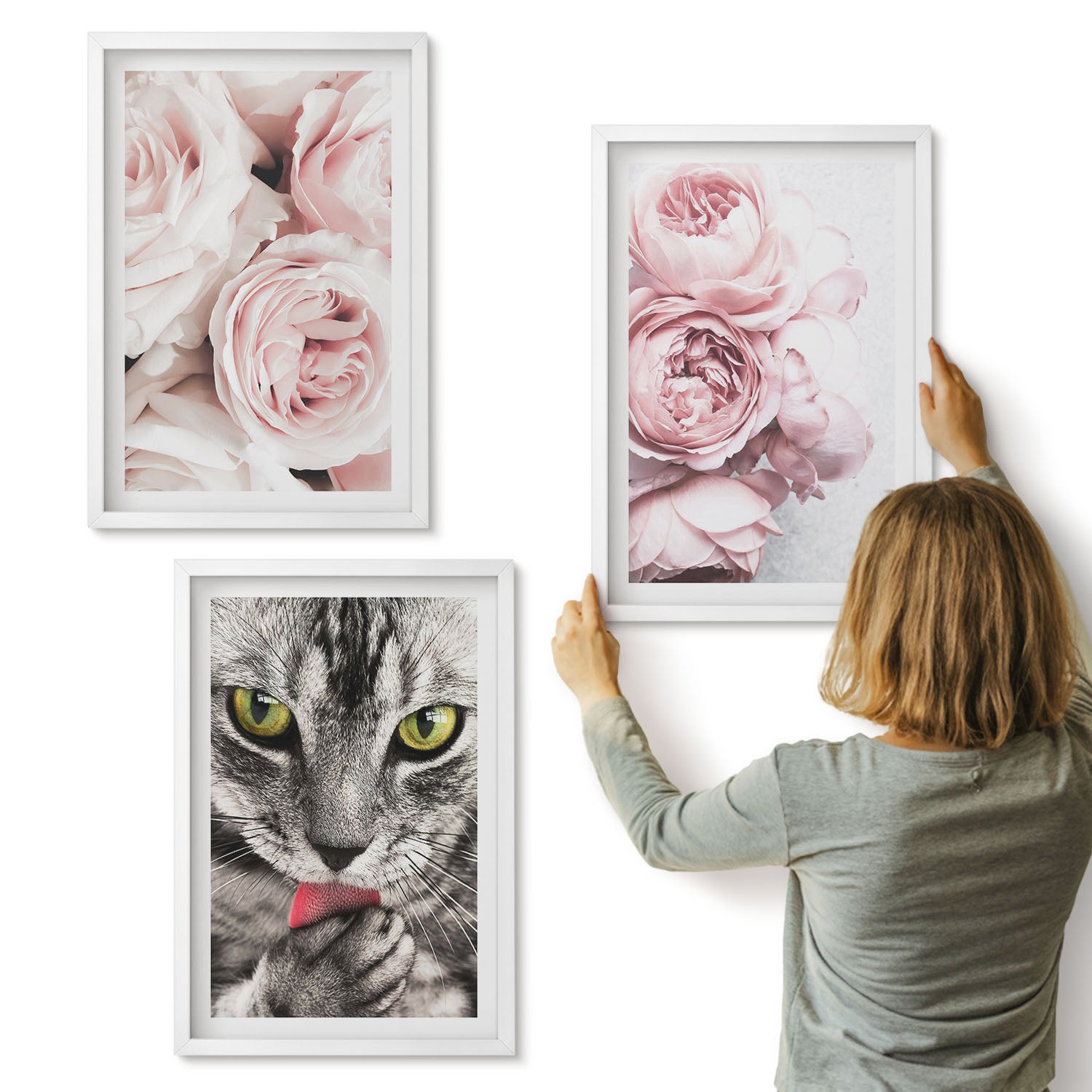 Galeria ścienna 3-częściowy komplet obrazów w białych ramach - Kot wśród różowych kwiatów róż i piwonii - ArtPrintCave