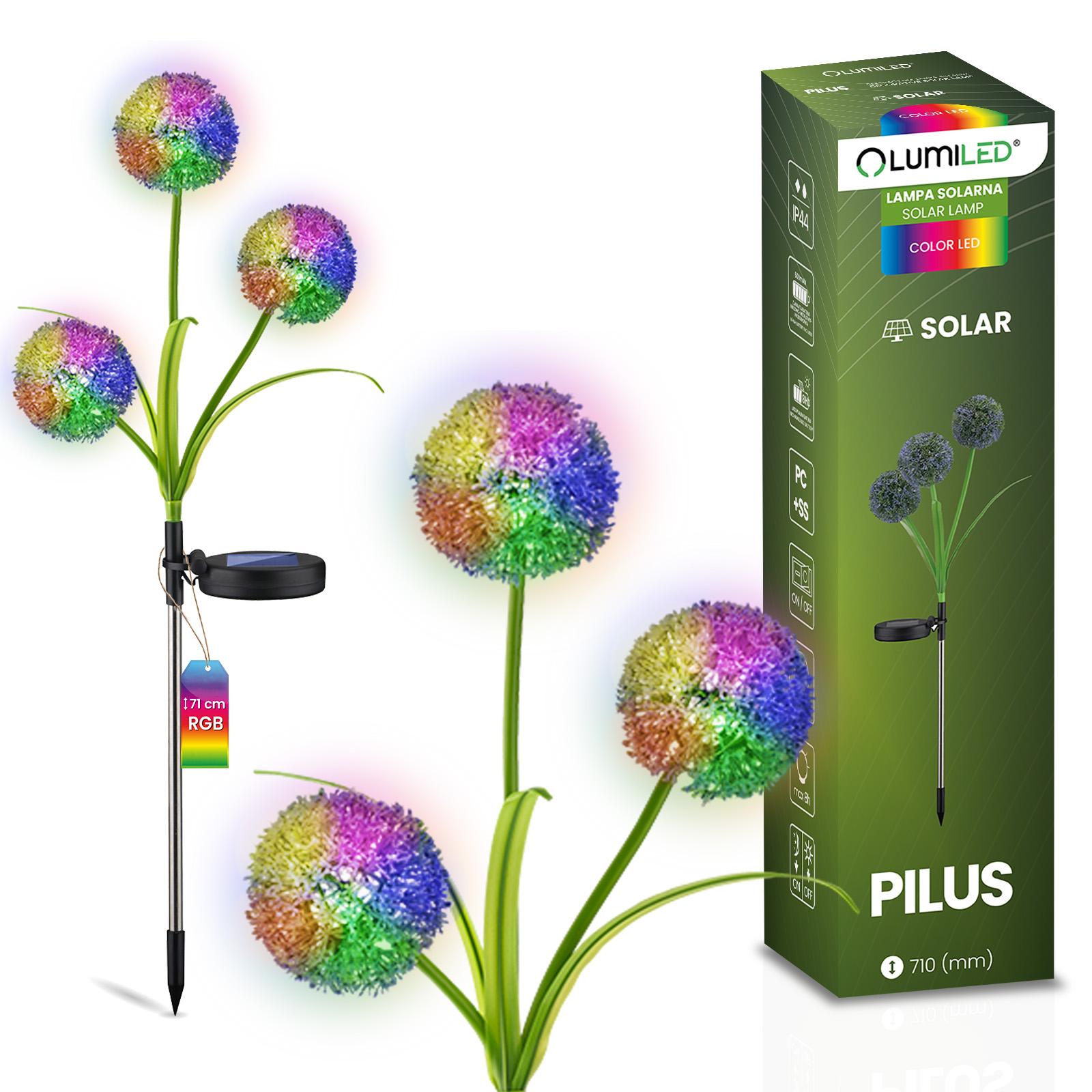Lampa Solarna Lumiled Ogrodowa LED RGB Wbijana Dekoracyjna Kwiat Czosnek 1 szt.