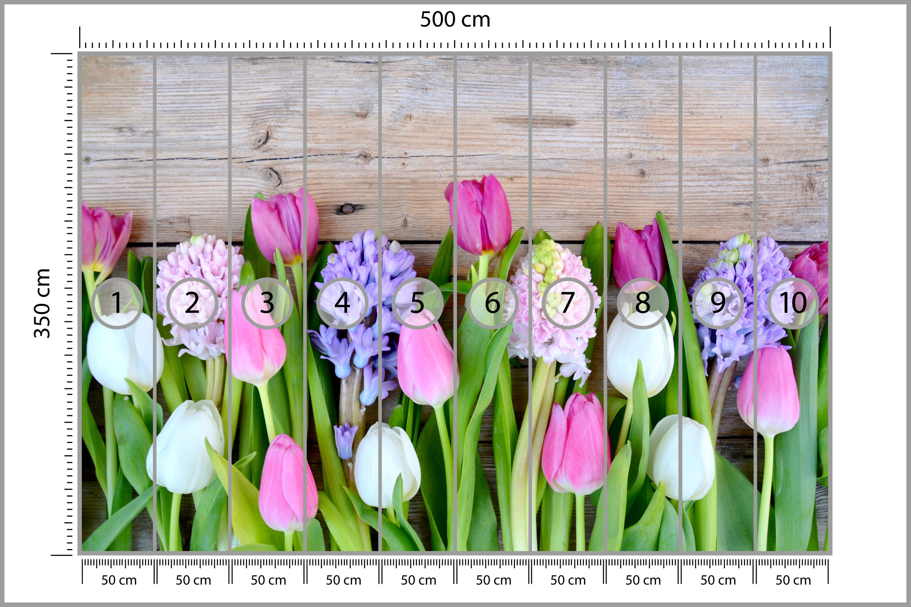 FOTOTAPETA DO SALONU BIURA KWIATY TULIPANY HIACYNTY NATURA ROŚLINY 500x350