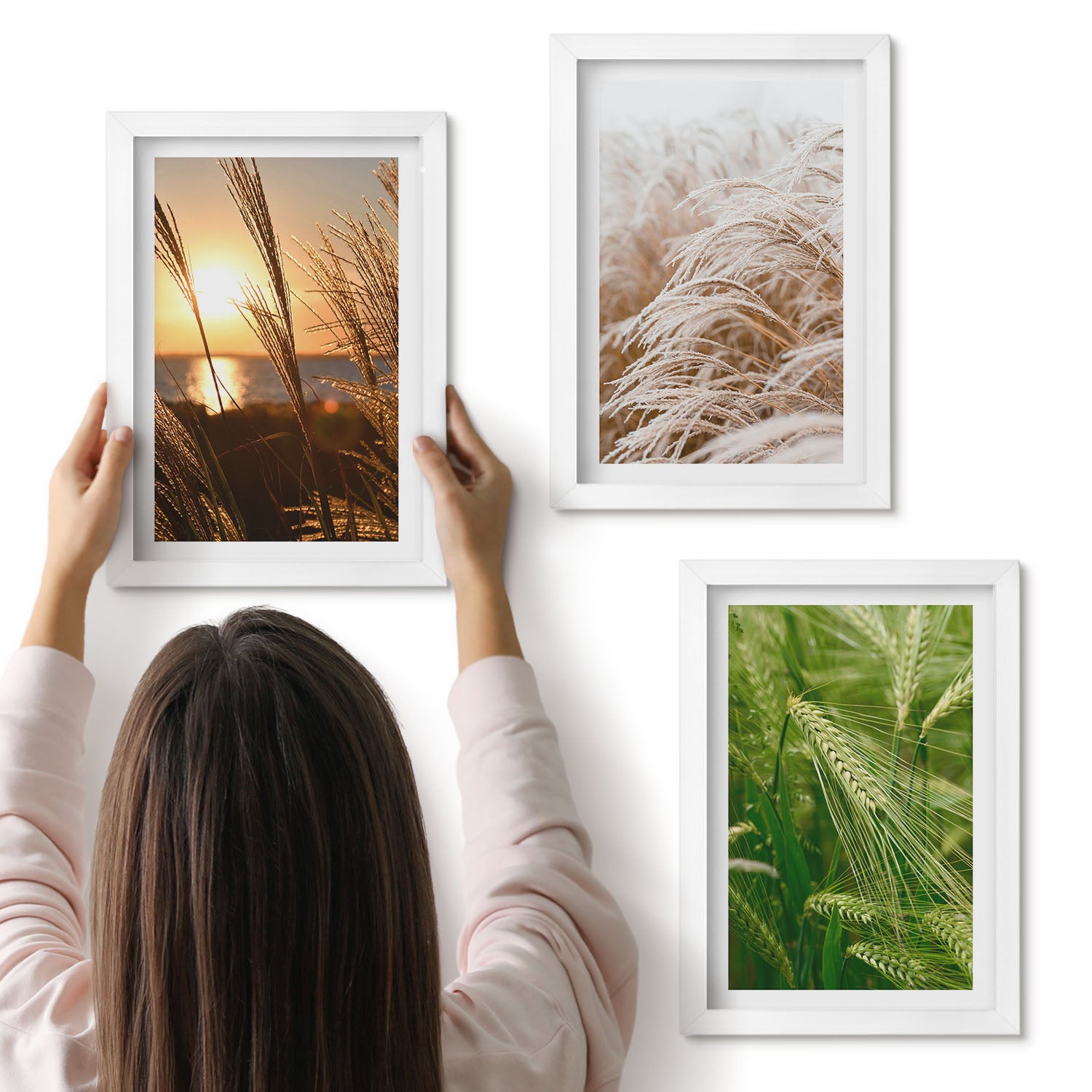 Galeria ścienna 3-częściowy komplet obrazów w białych ramach - Różne rodzaje traw kolorowa natura - ArtPrintCave