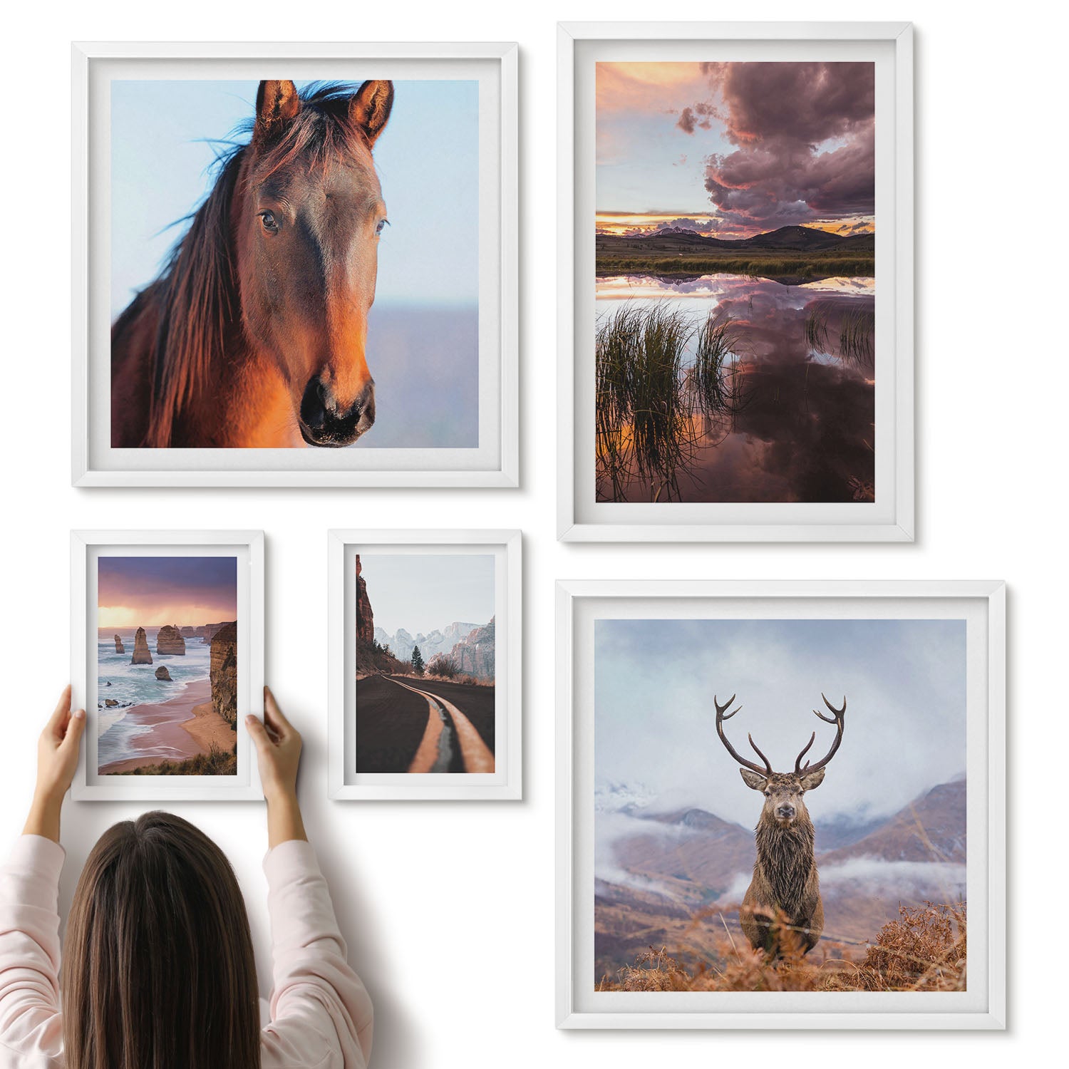 Galeria ścienna 5-częściowy komplet obrazów w białych ramach - Naturalne piękno krajobrazów i zwierząt w plenerze - ArtPrintCave