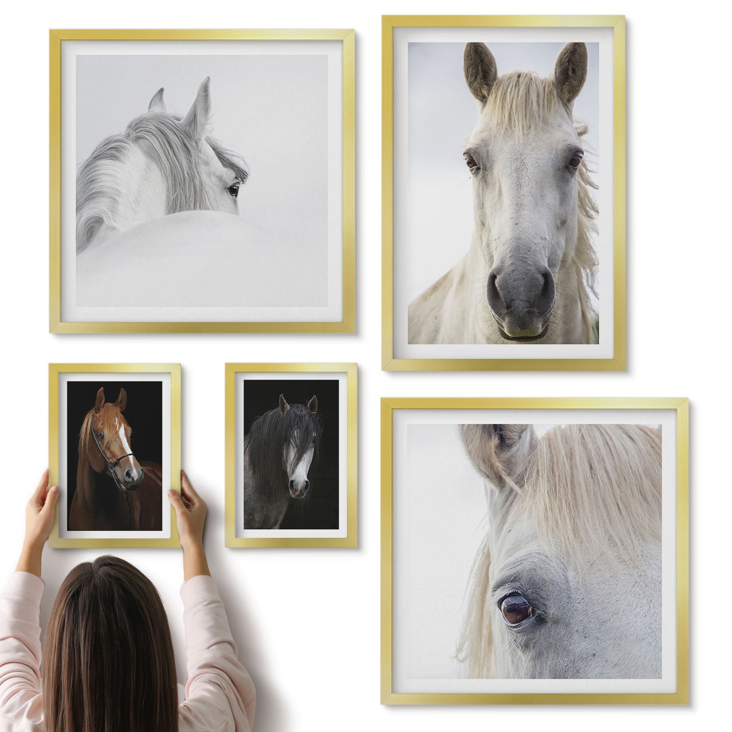 Galeria ścienna 5-częściowy komplet obrazów w złotych ramach - Portrety koni w różnych ujęciach i stylach artystycznych - ArtPrintCave