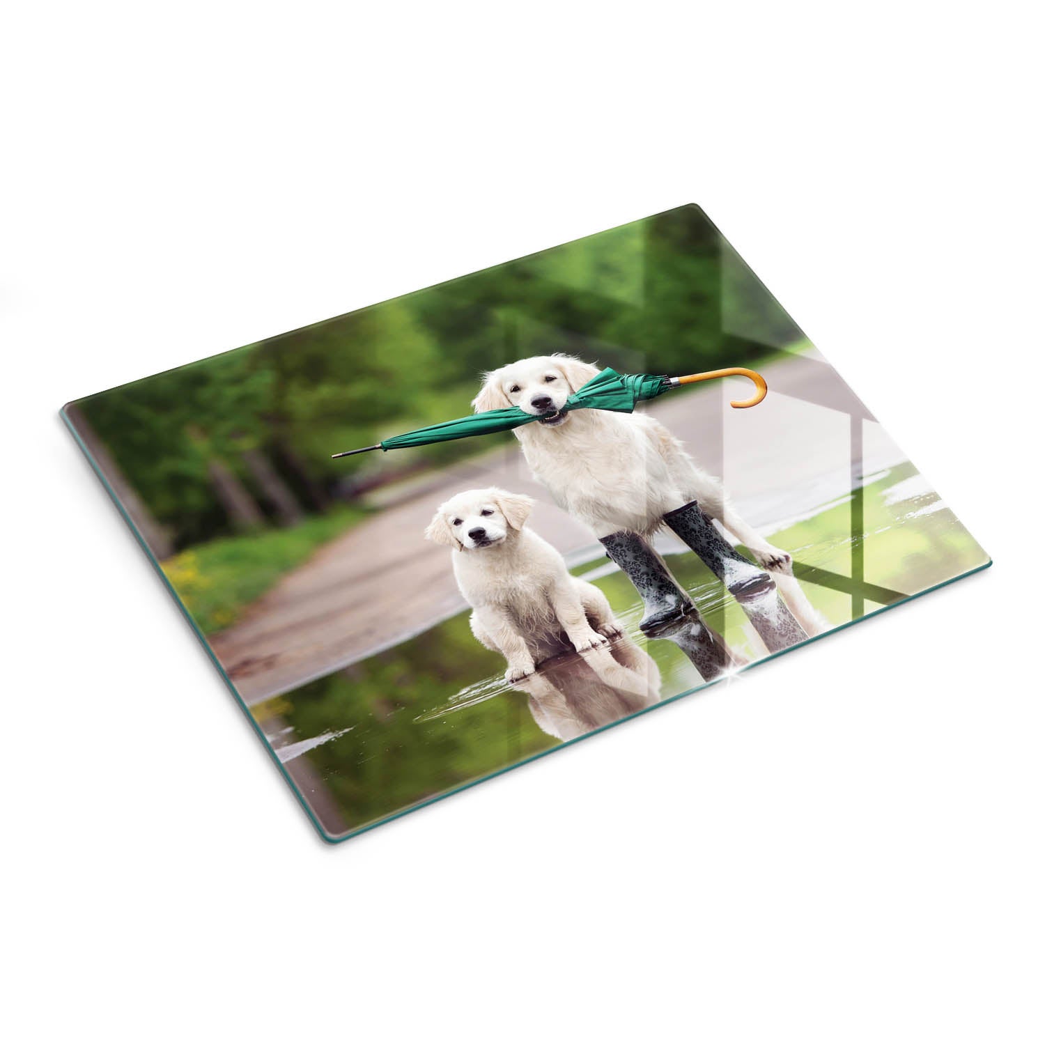 Szklana płyta kuchenna dekoracyjna deska do krojenia - Golden Retriever - 30x40 - Tulup